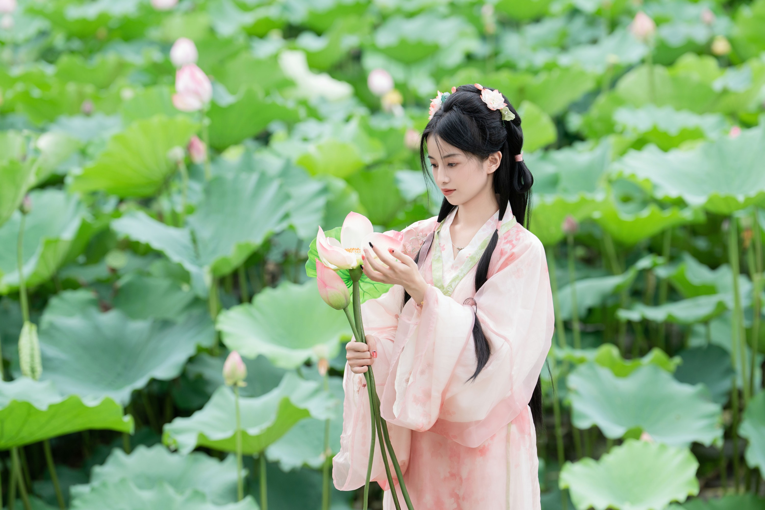 spring – 《接天莲叶无穷碧》[25P]