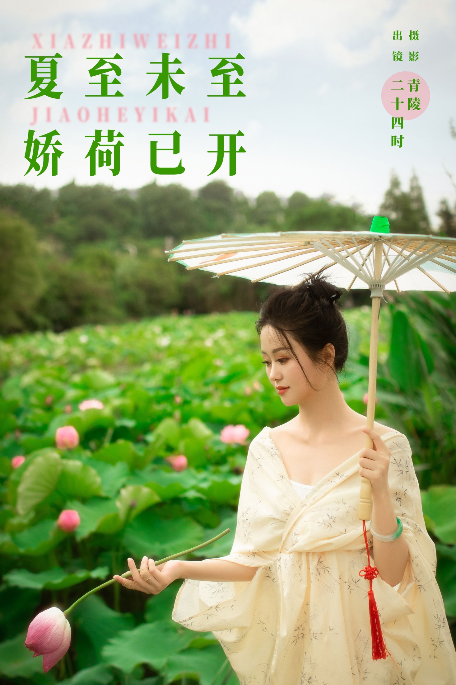夏至未至,娇荷已开