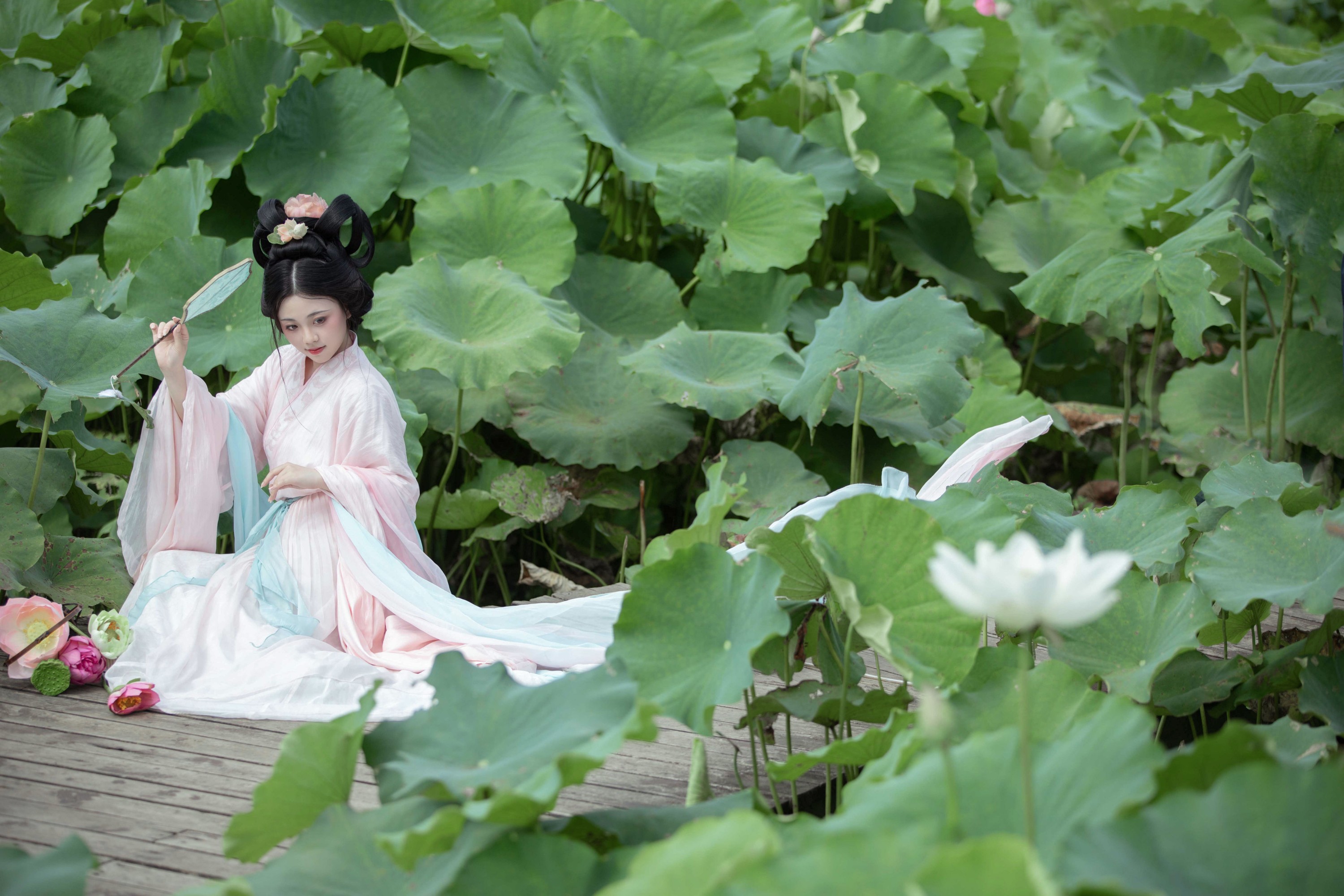 谨陬捌 – 《别有娉婷》[24P]