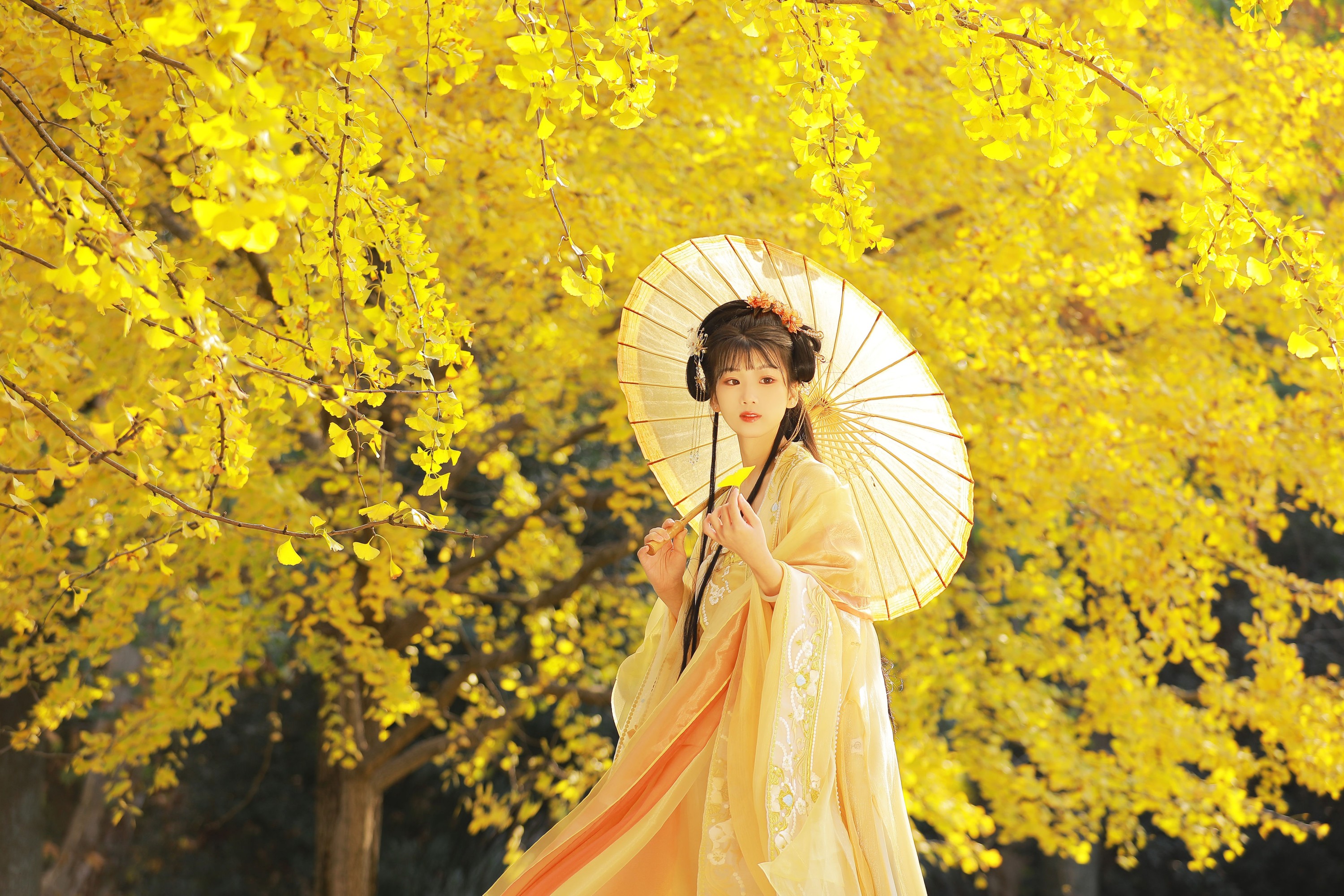 周周Ay – 《玉京秋》[25P]