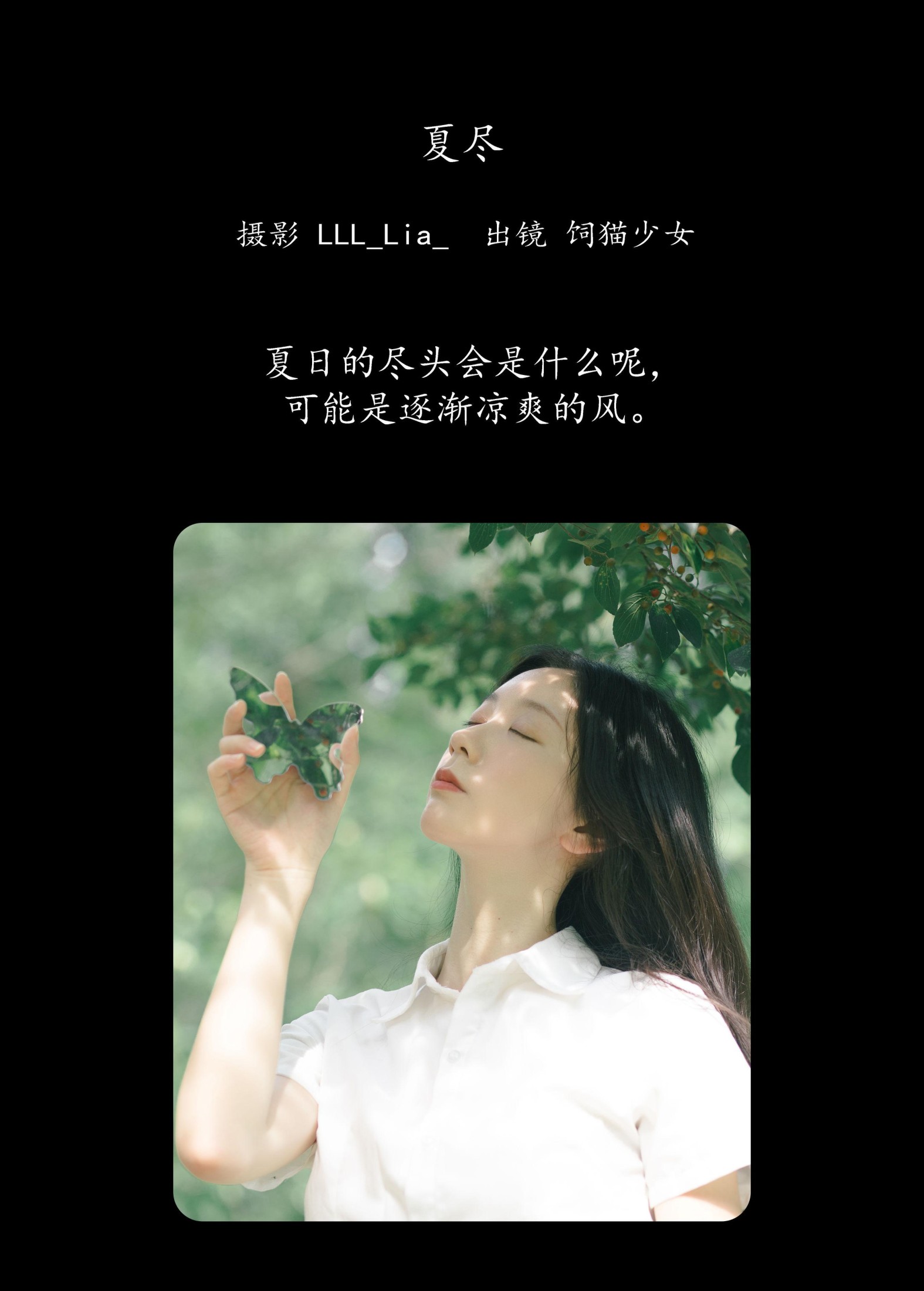 饲猫少女- – 《夏尽》[25P]