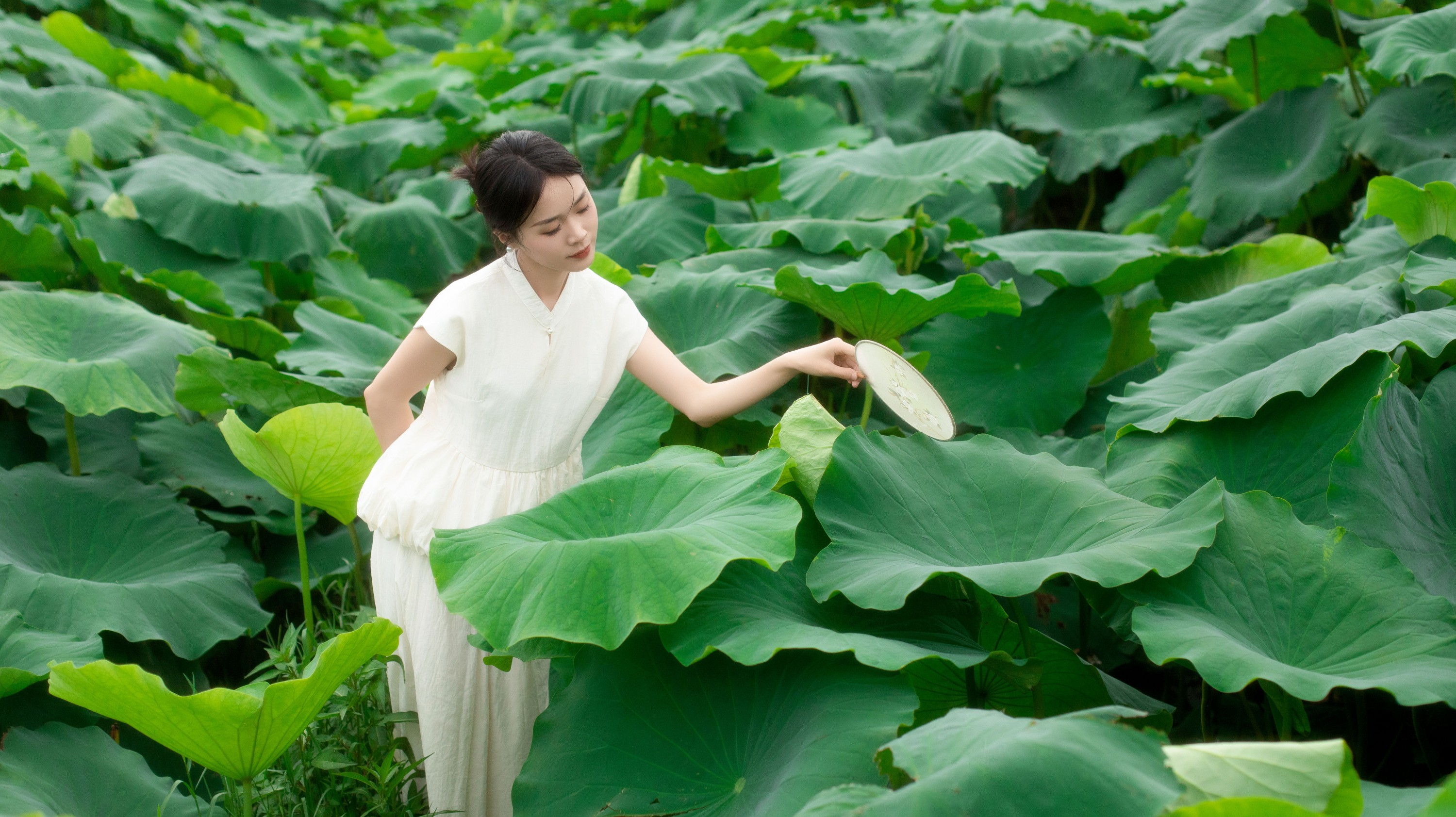 一 – 《夏日荷香》[37P]