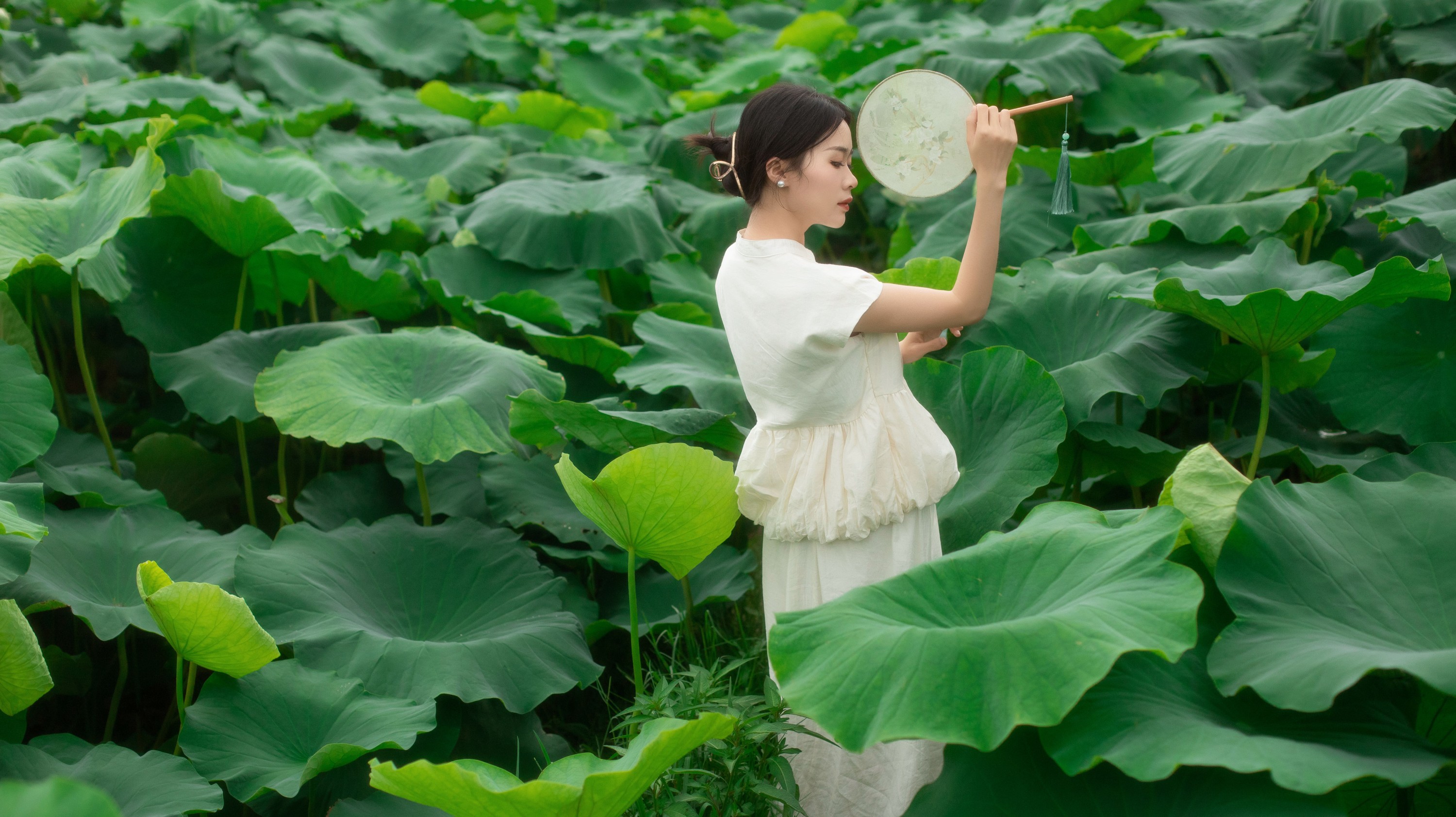 一 – 《夏日荷香》[37P]