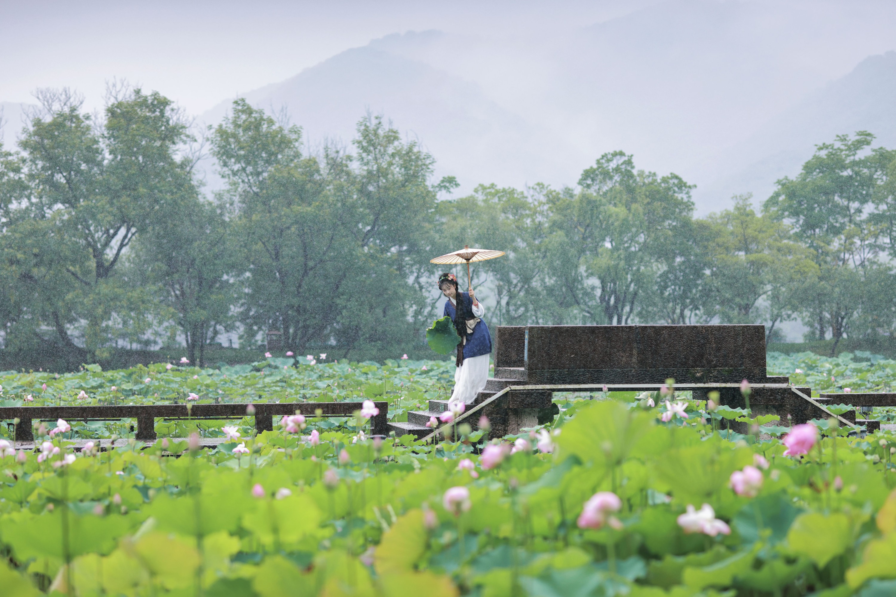 君茹 – 《黛玉赏荷》[20P]