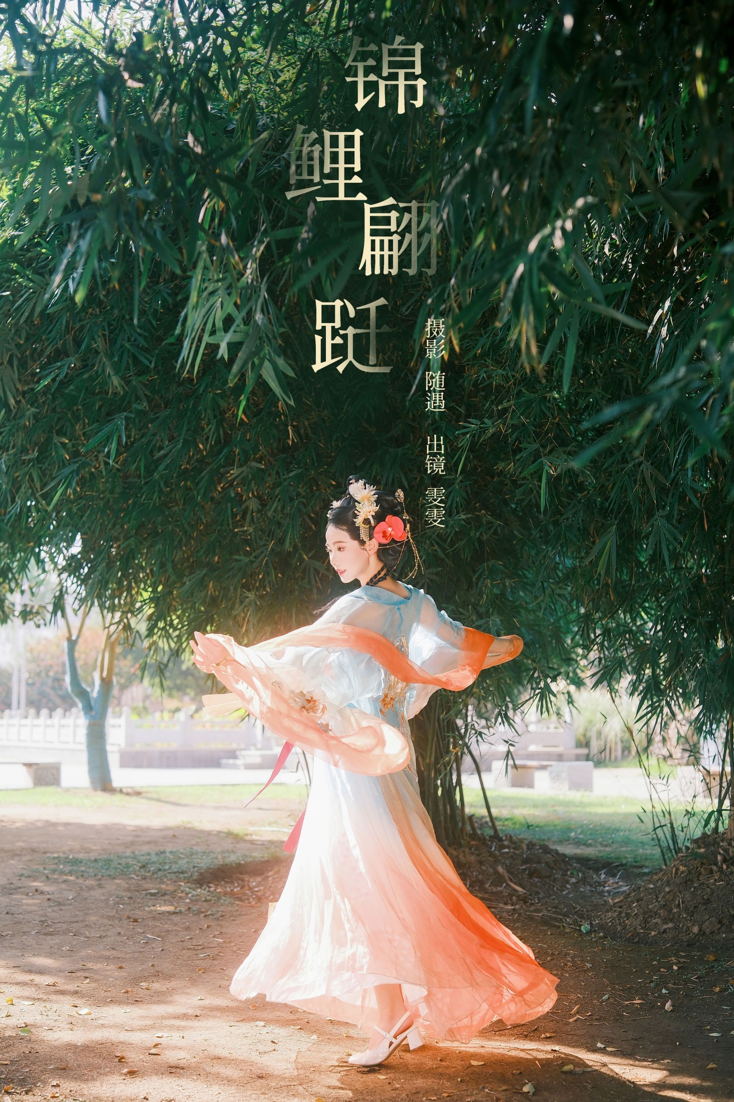 锦鲤翩跹