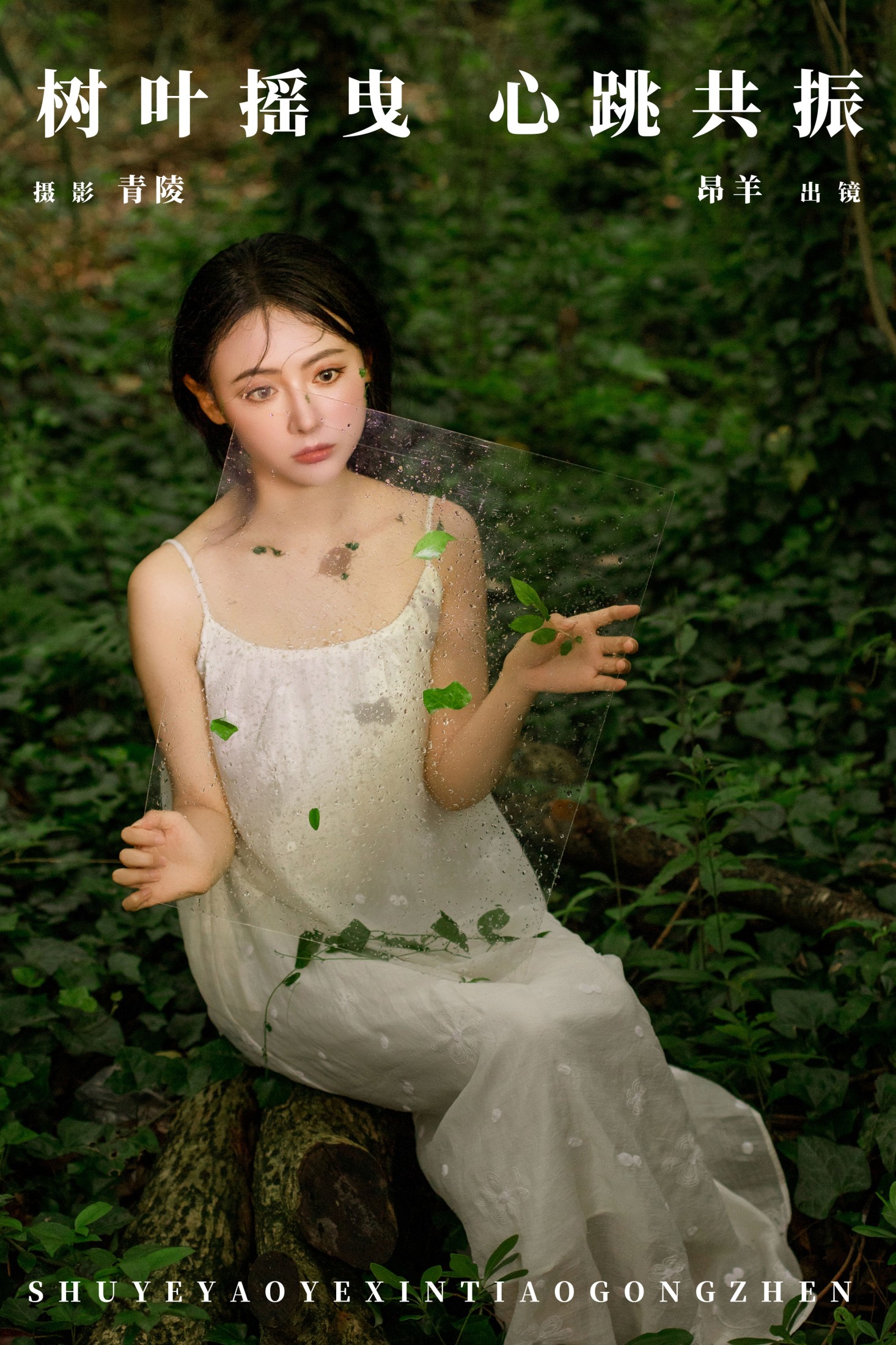 树叶摇曳,心跳共振