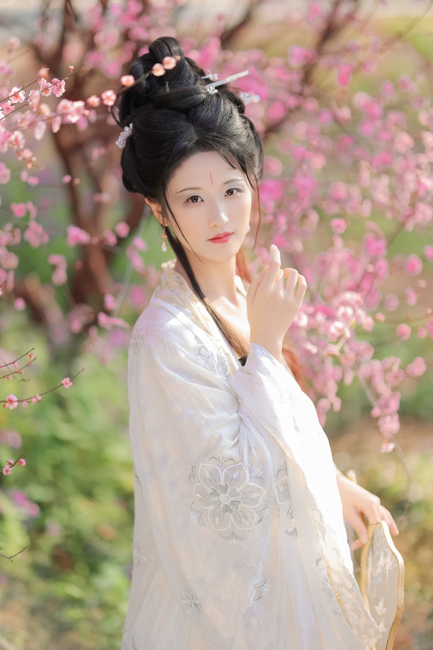 木耳冬了 – 《醉花阴》[23P]