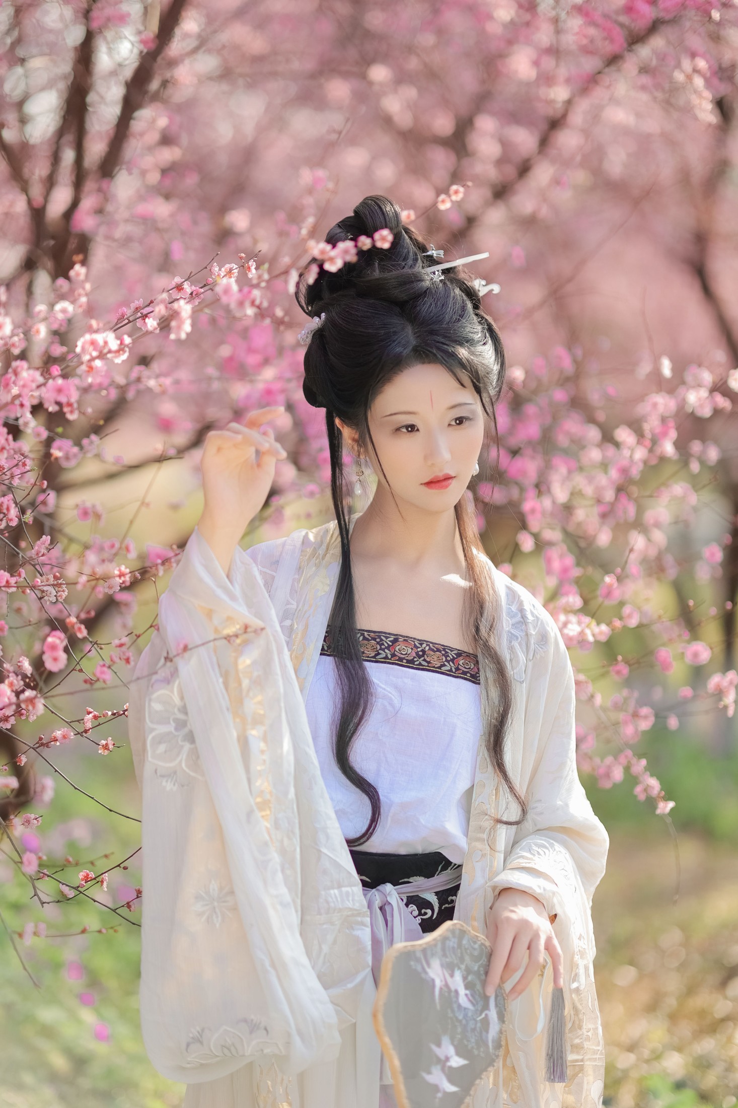 木耳冬了 – 《醉花阴》[23P]