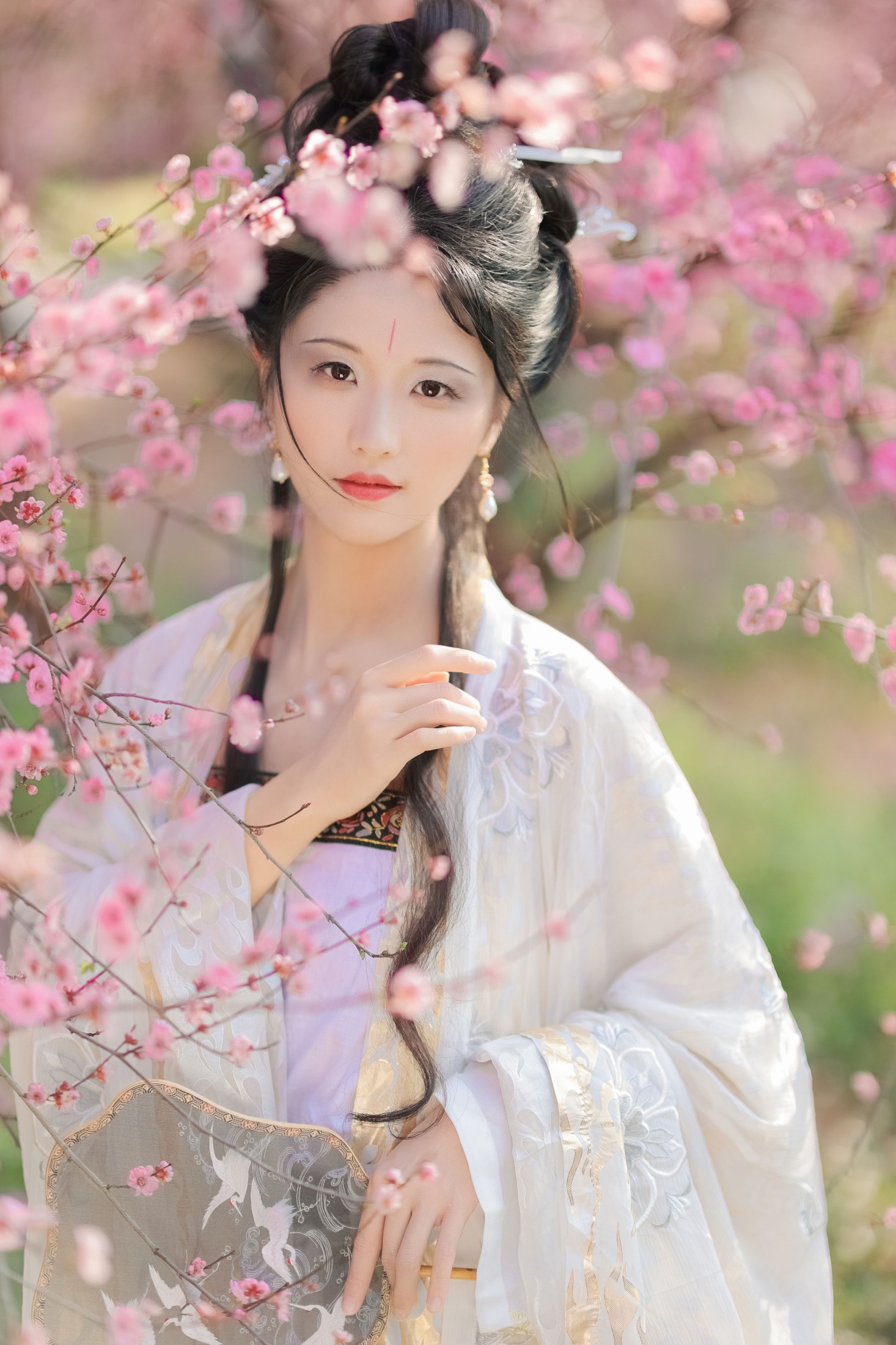 木耳冬了 – 《醉花阴》[23P]