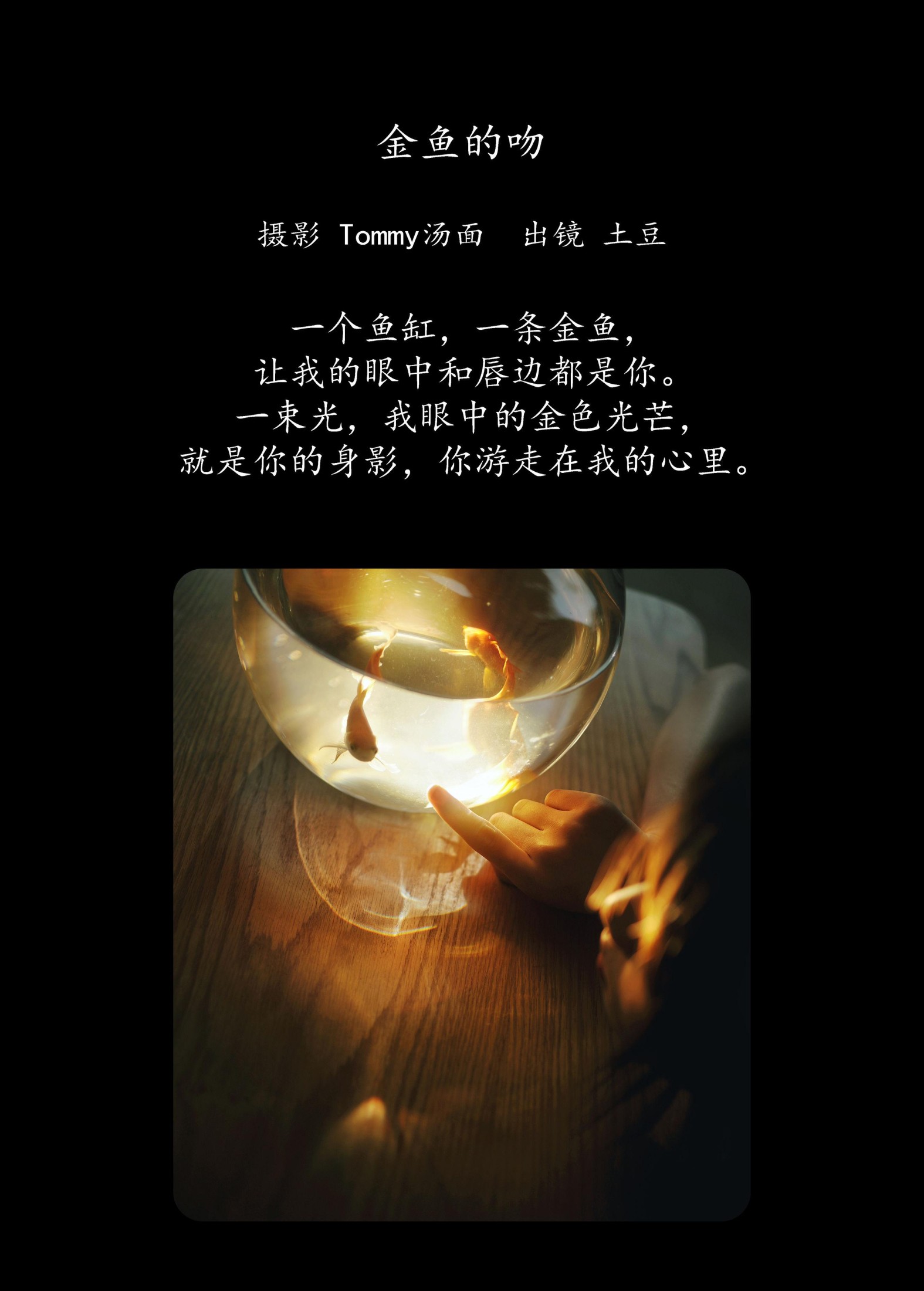 土豆 – 《金鱼的吻》[24P]