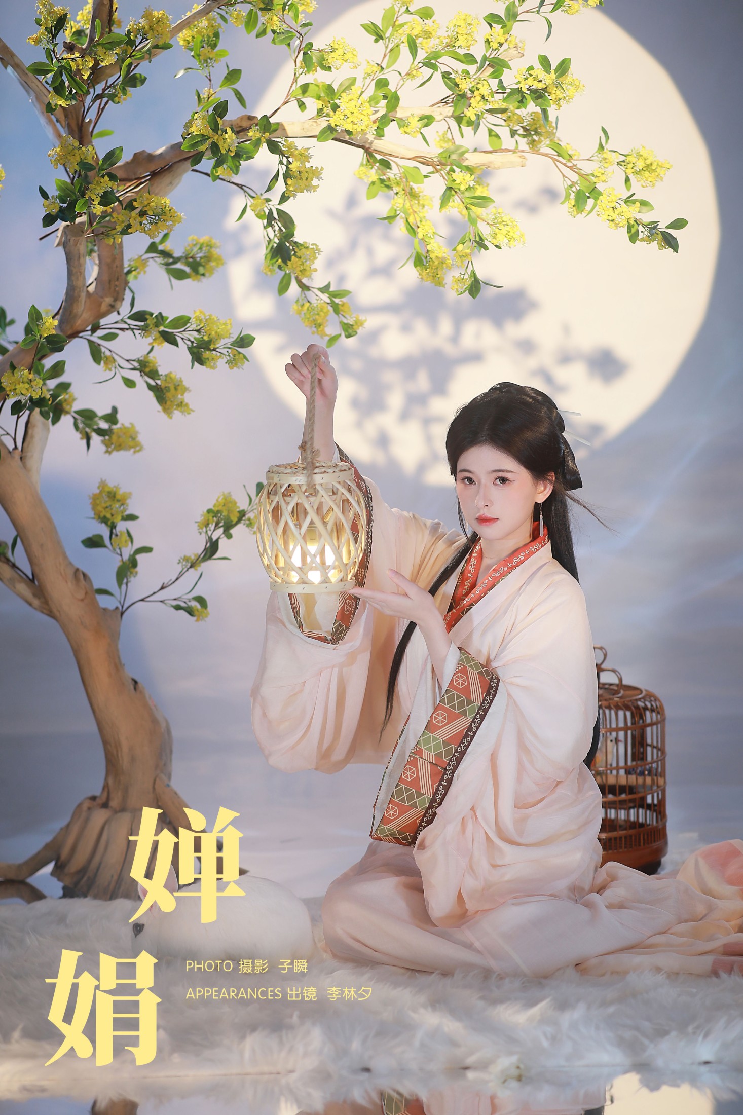 婵娟