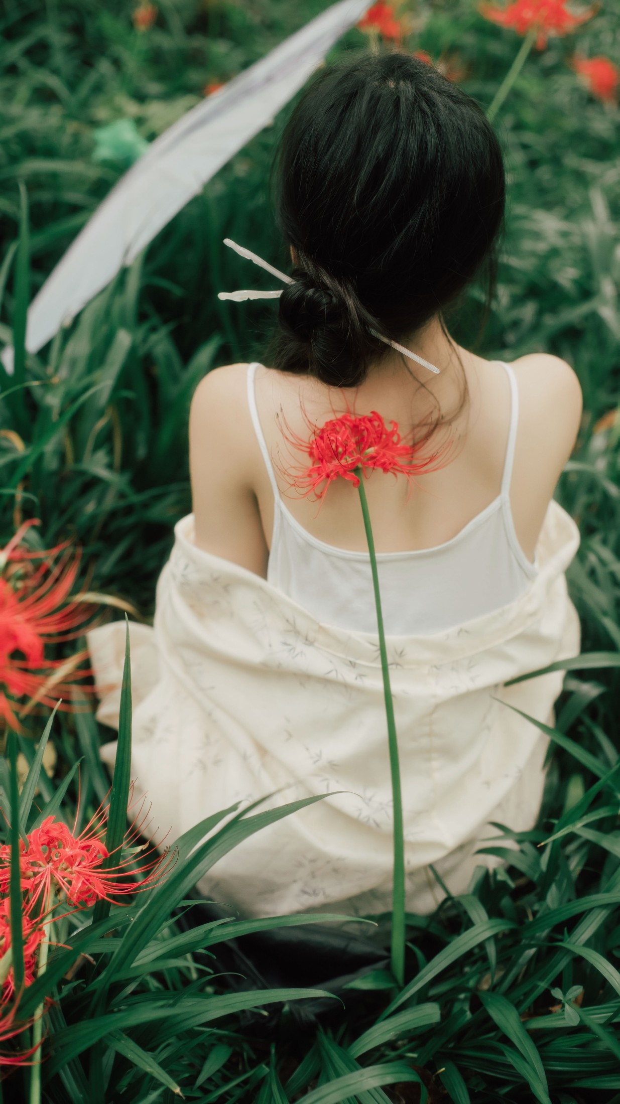 小小吴 – 《曼珠沙华》[27P]