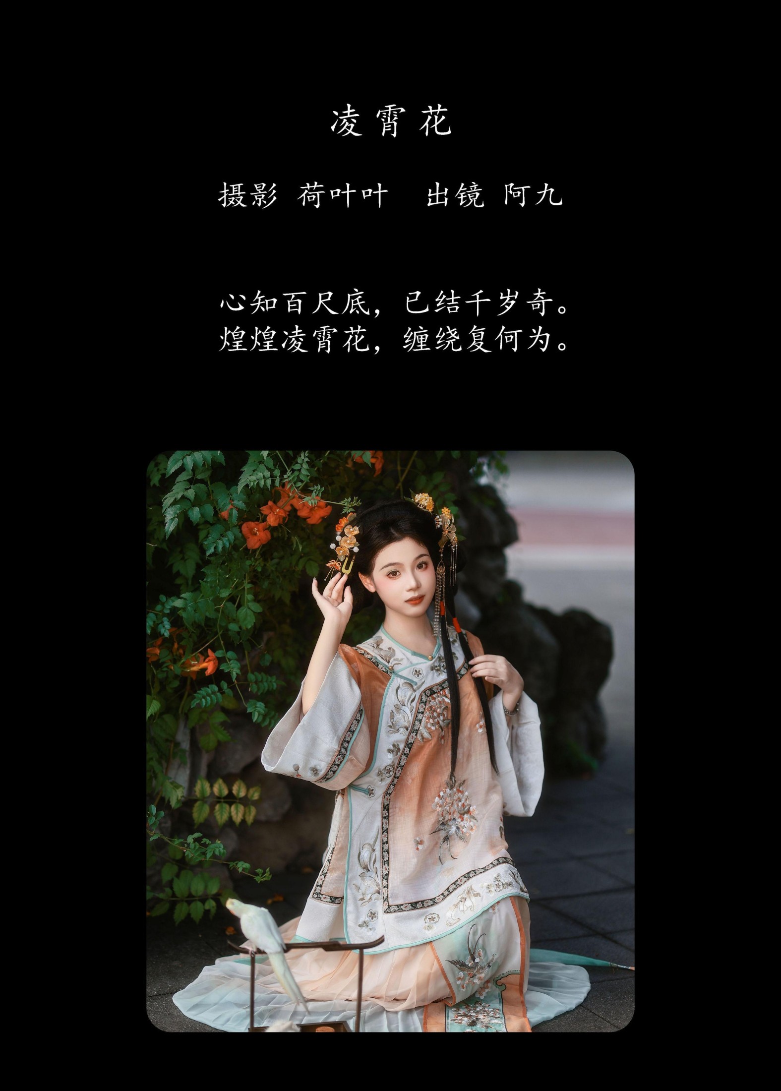铁臂阿桐木 – 《凌霄花》[30P]
