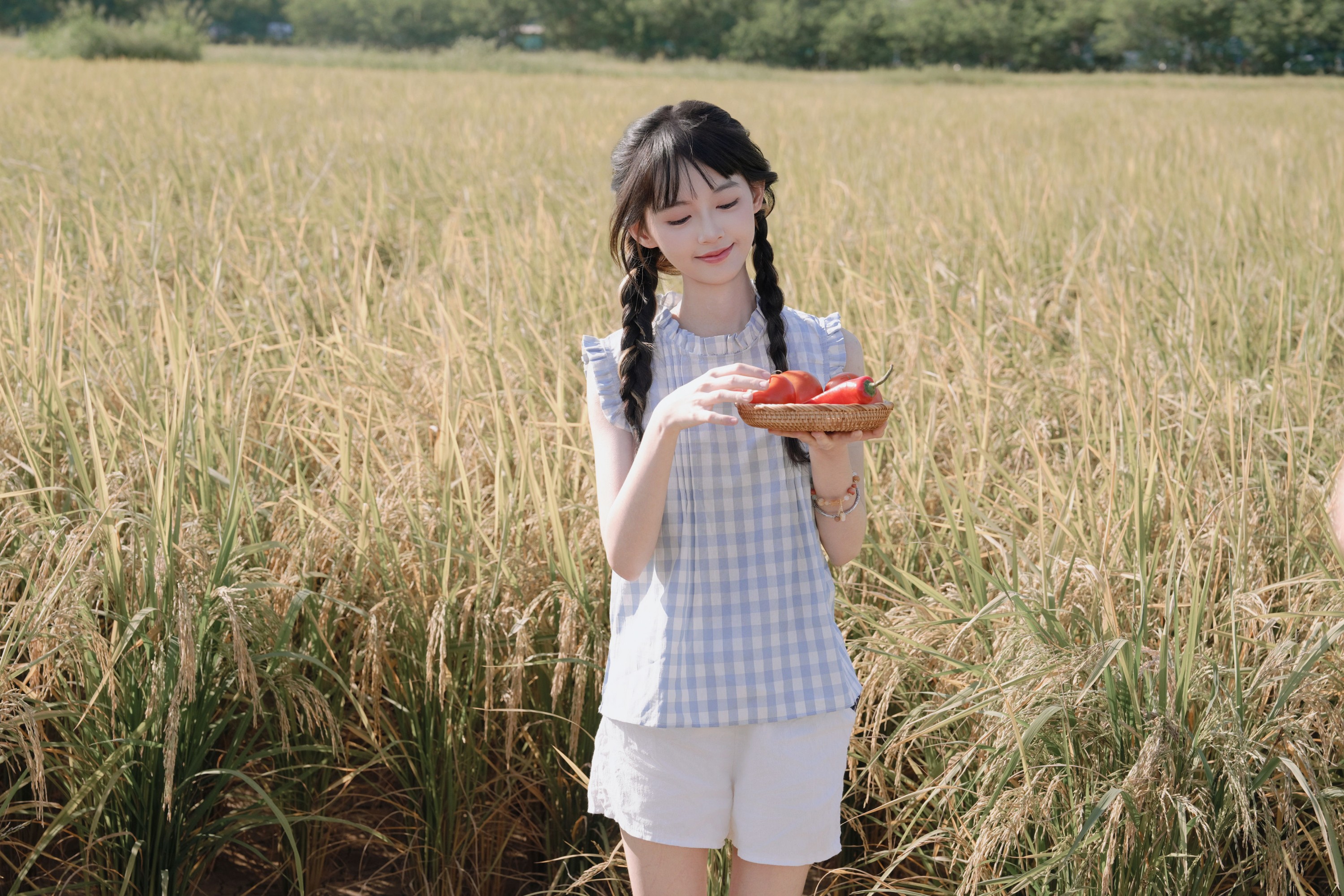 小乐 – 《花田稻香，少女轻颜》[30P]