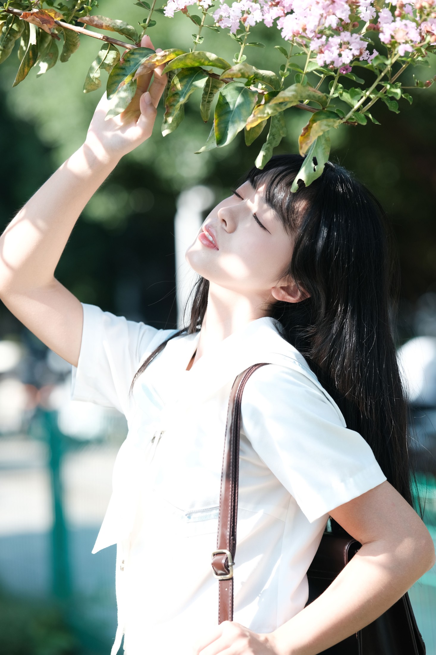 一只暖暖 – 《那棵树》[30P]