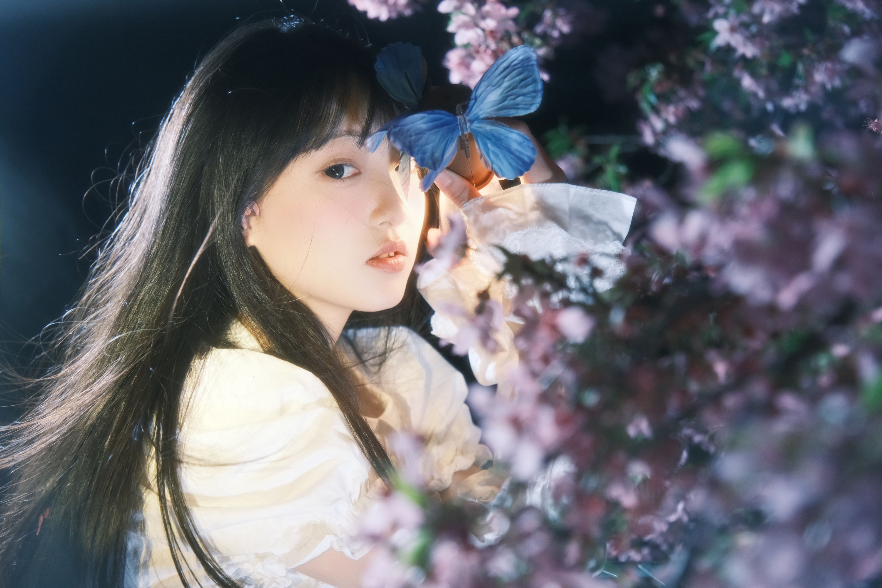 冷酷王爷 – 《葬樱》[28P]