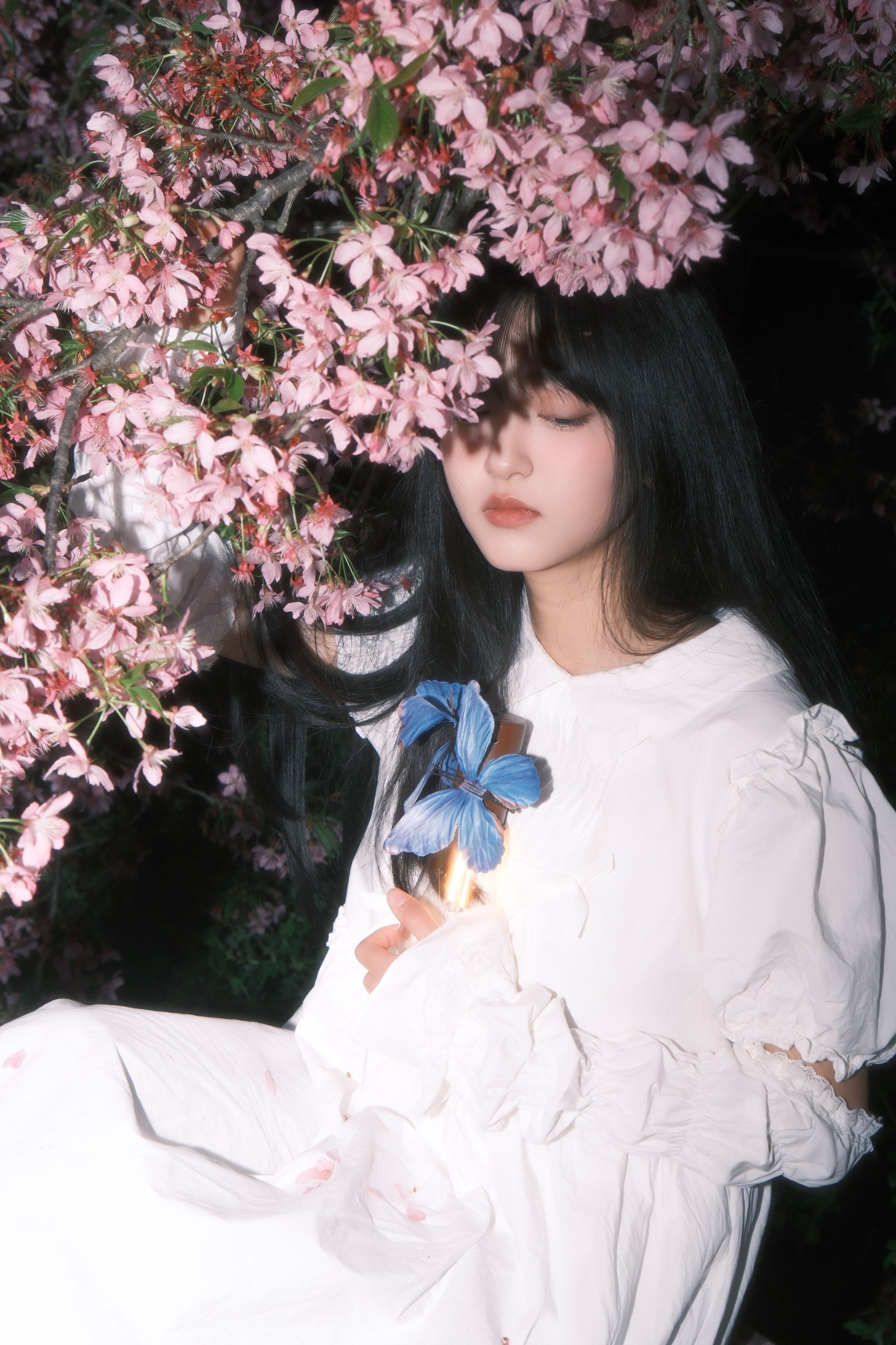 冷酷王爷 – 《葬樱》[28P]