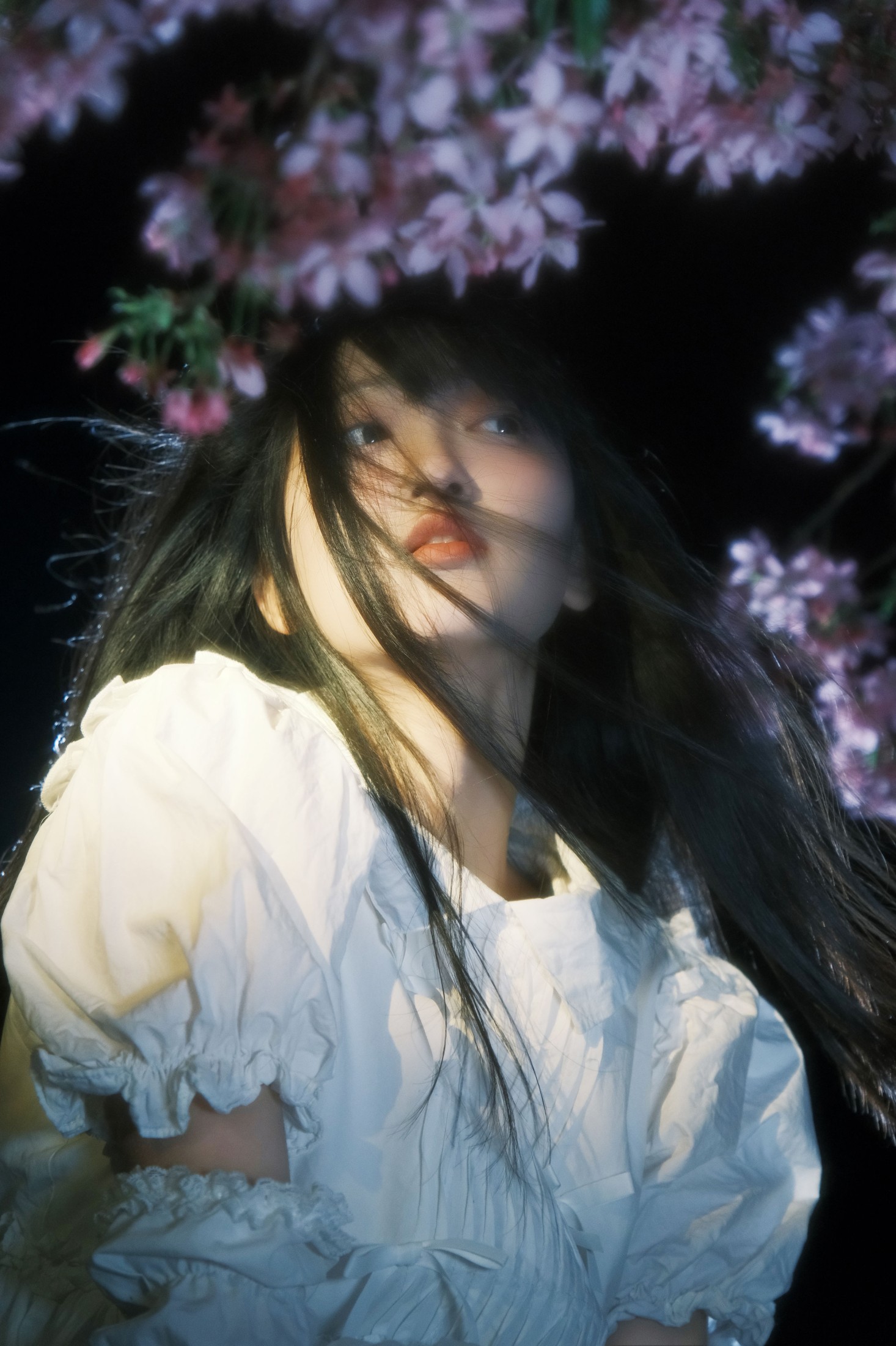 冷酷王爷 – 《葬樱》[28P]