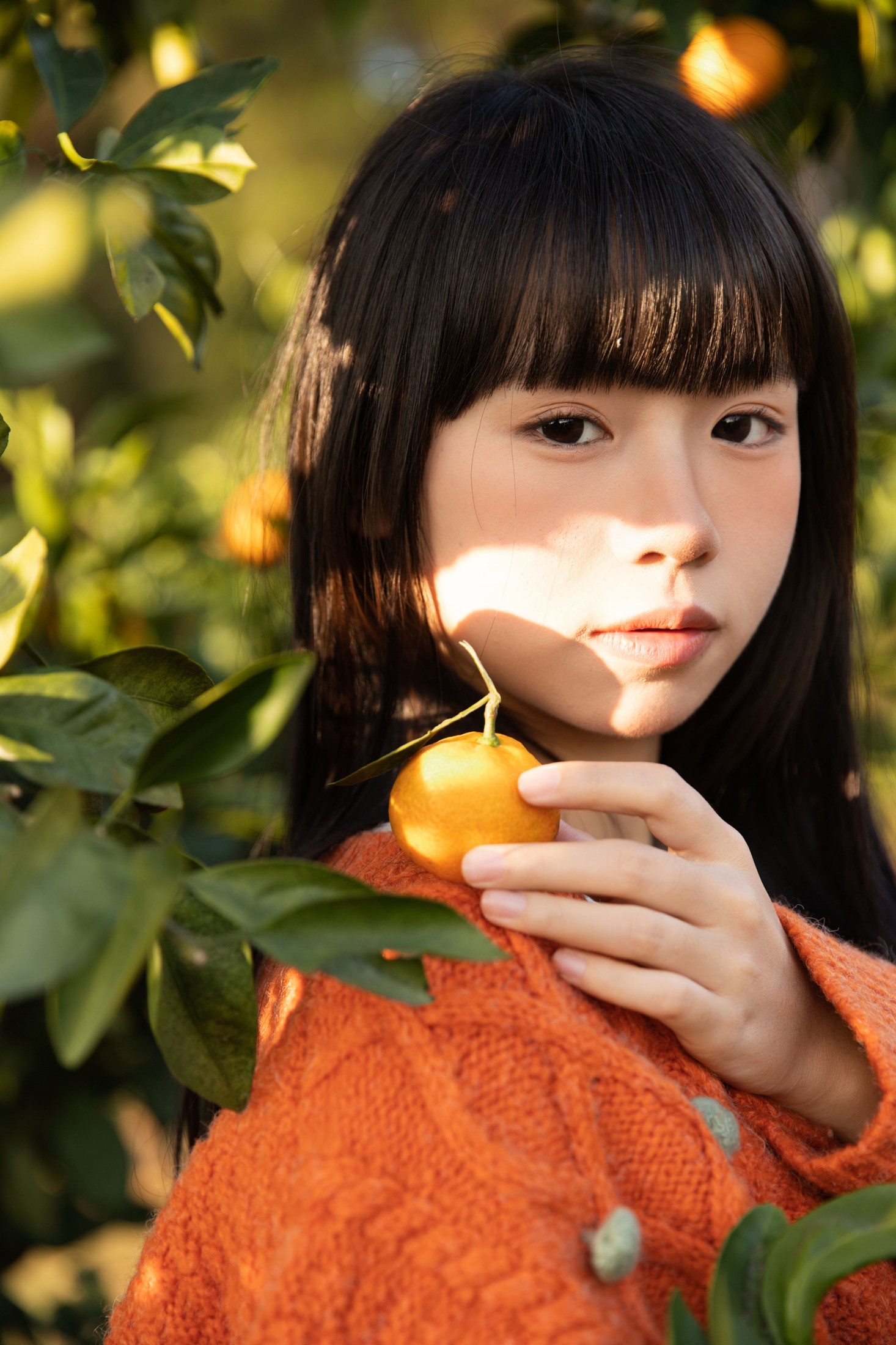 是三金呀 – 《橘子辉煌》[28P]