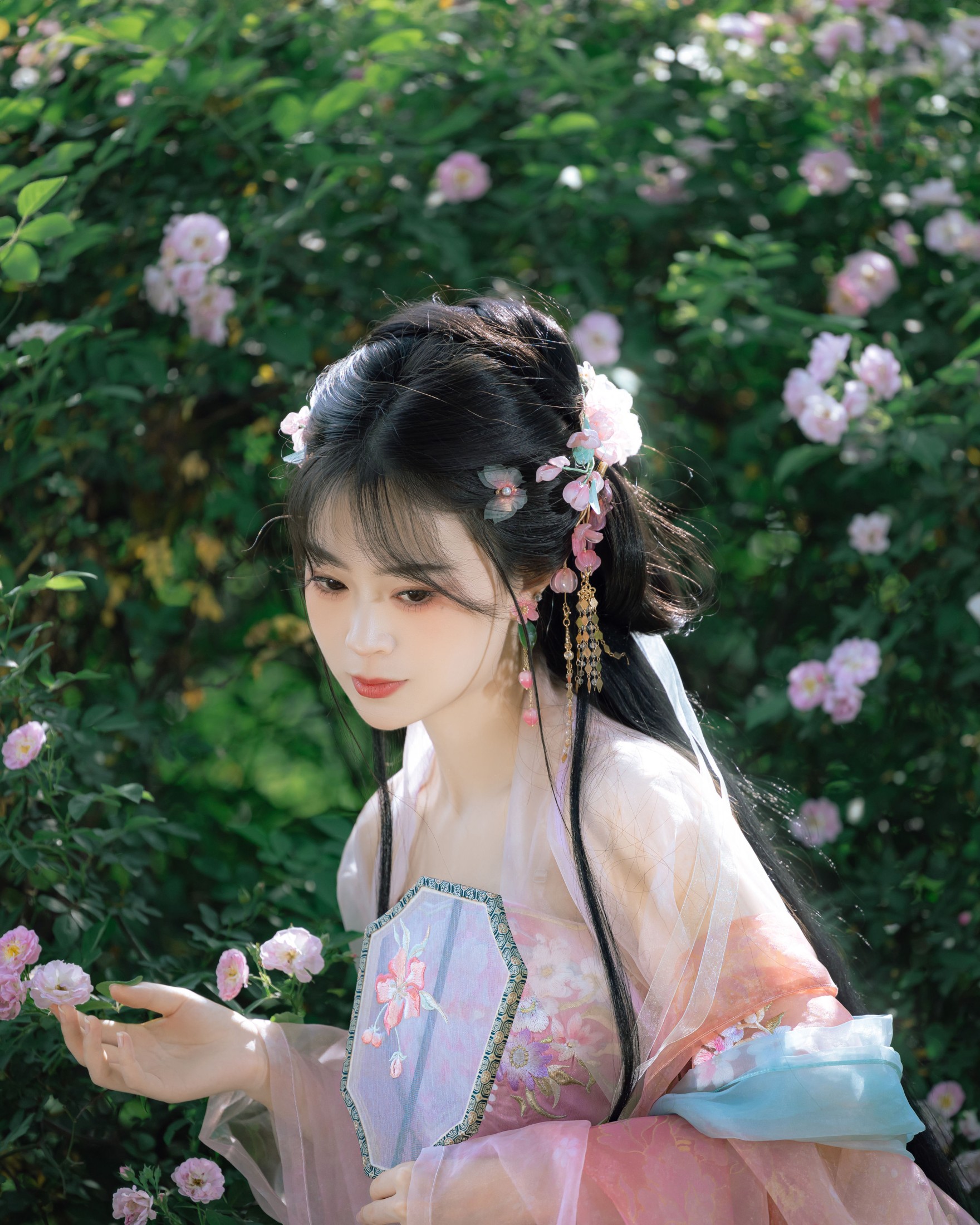 安风 – 《蔷薇》[21P]