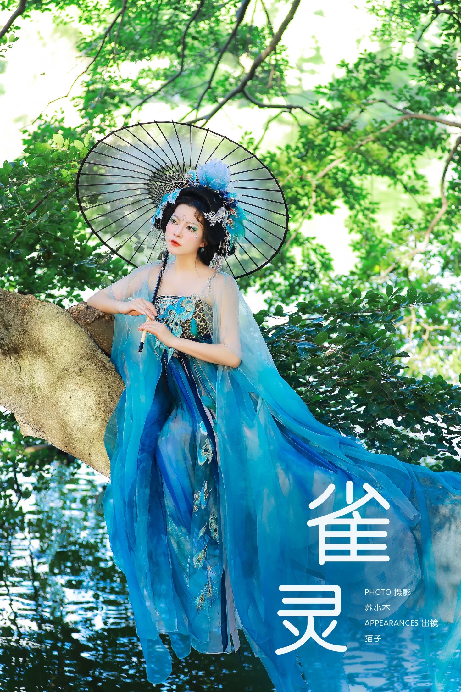 雀灵