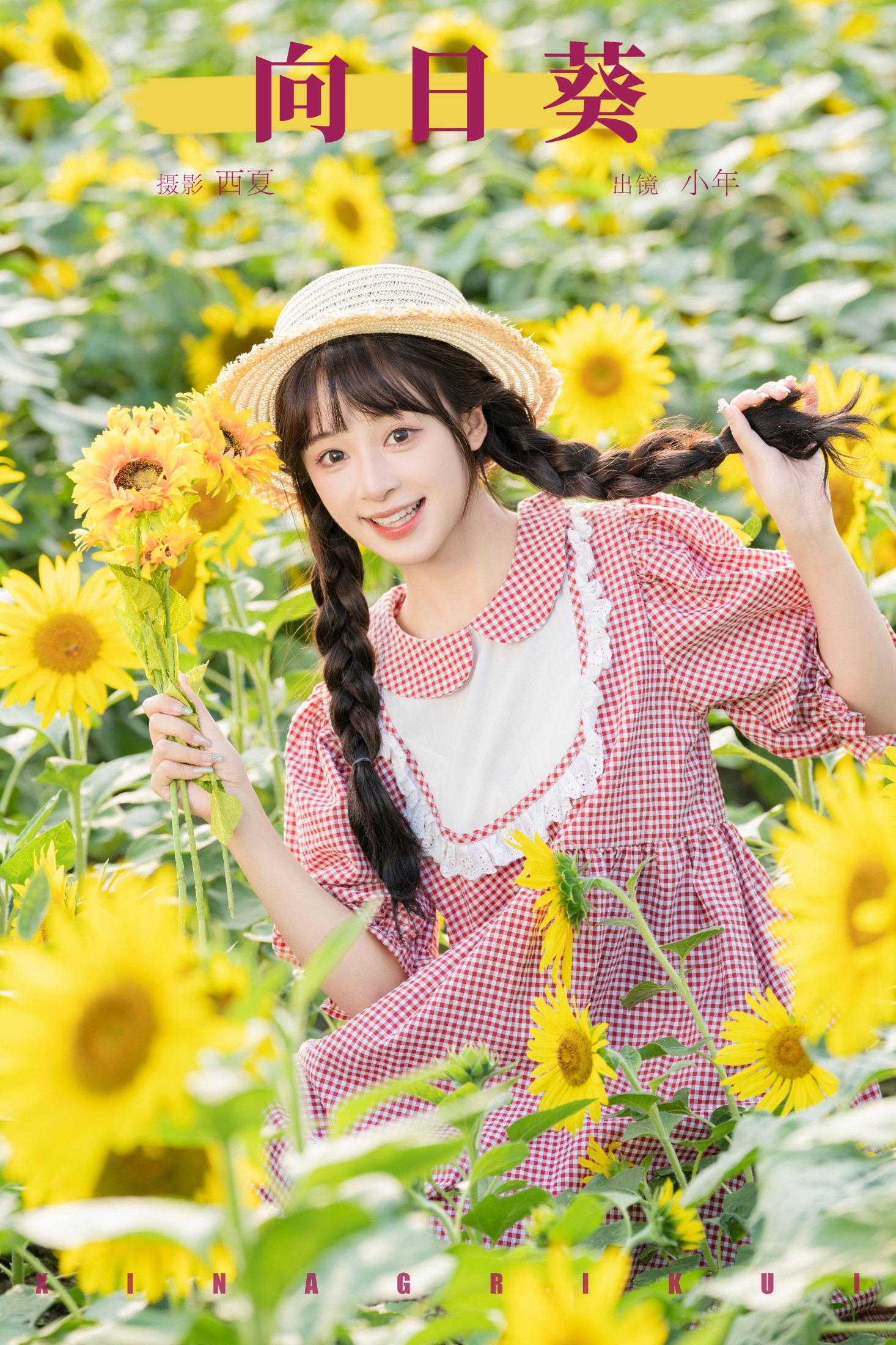 向日葵