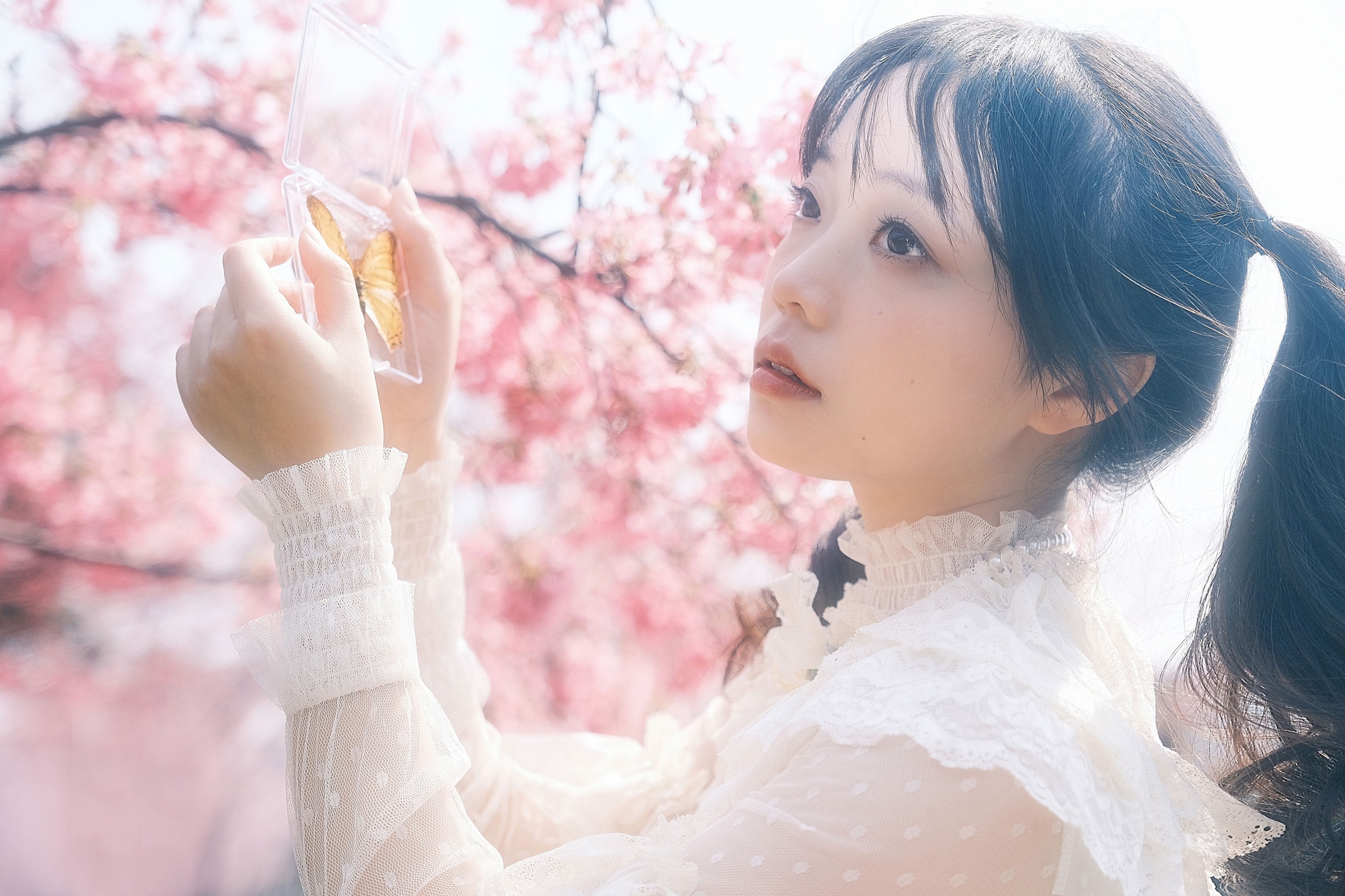 贝贝bu睡觉 – 《樱花少女》[24P]