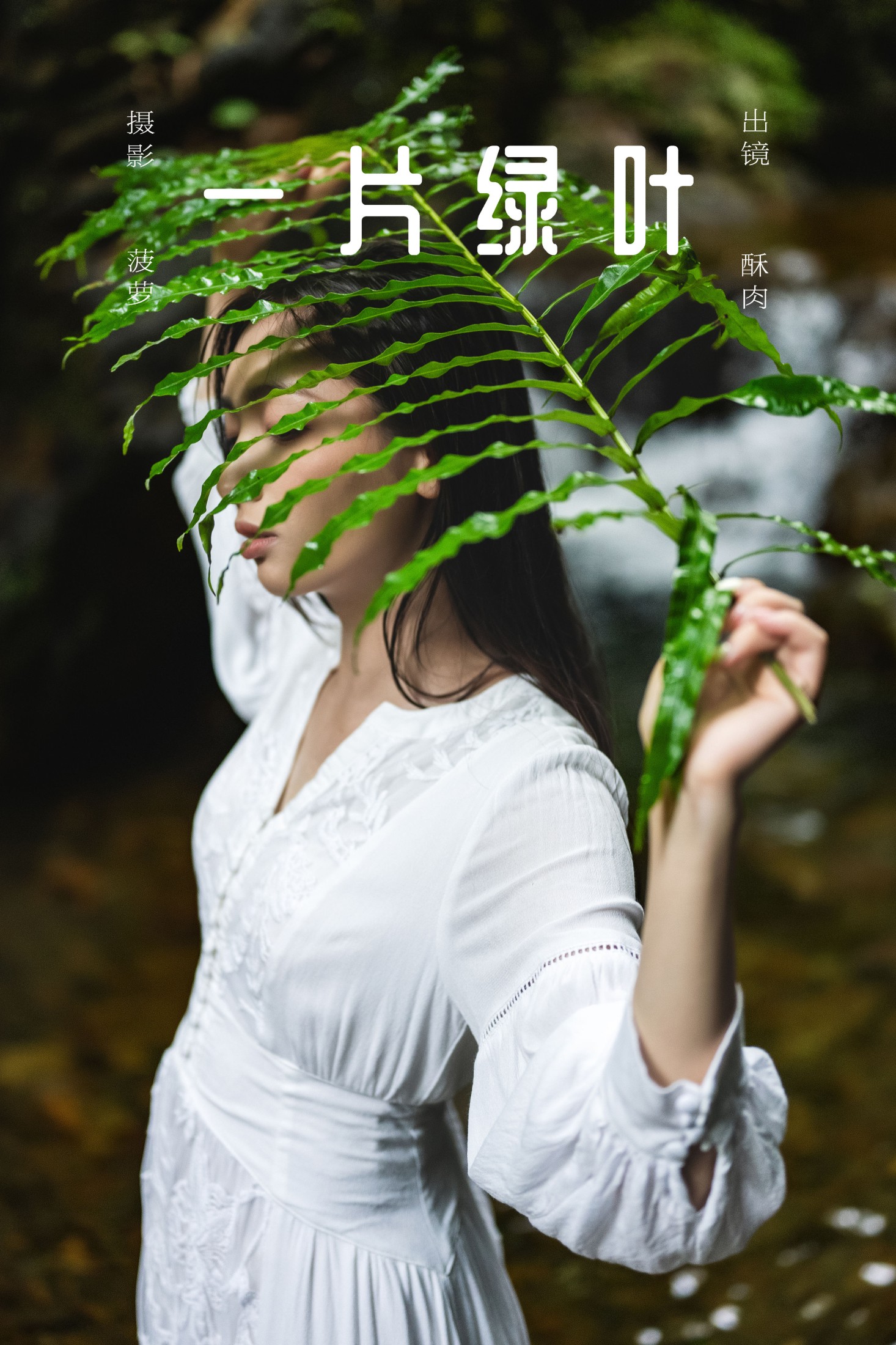 一片绿叶