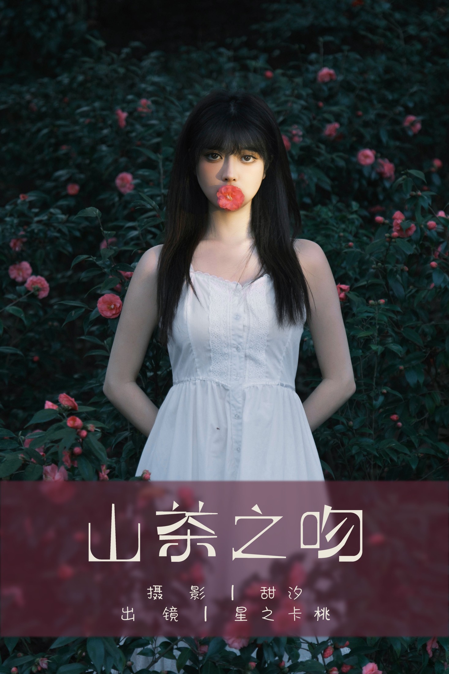 山茶之吻