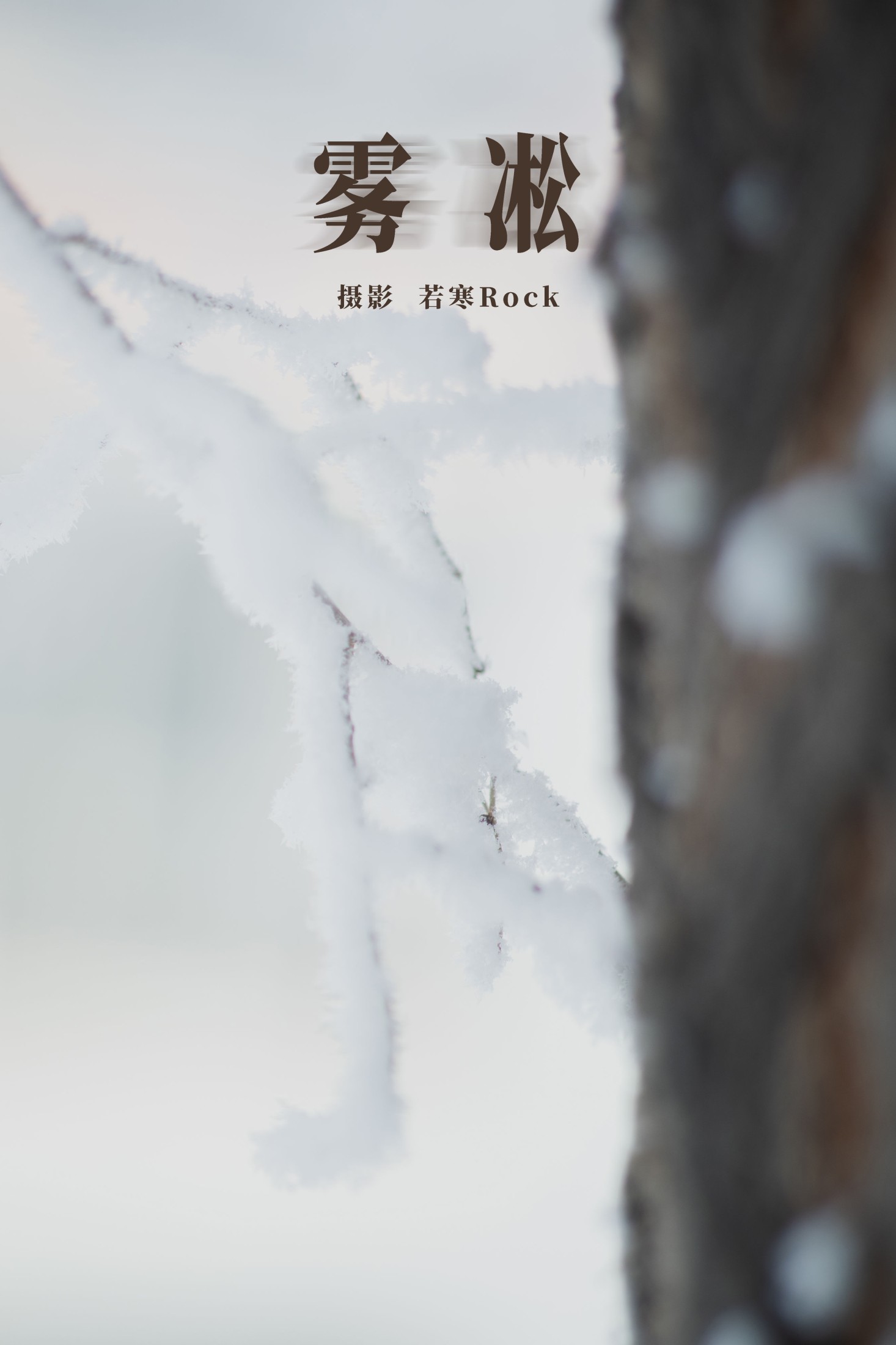 雾凇