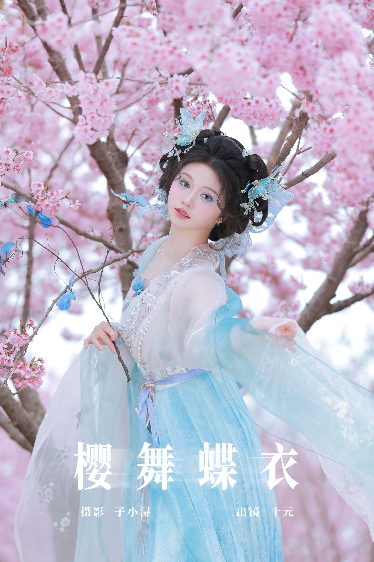 樱舞蝶衣