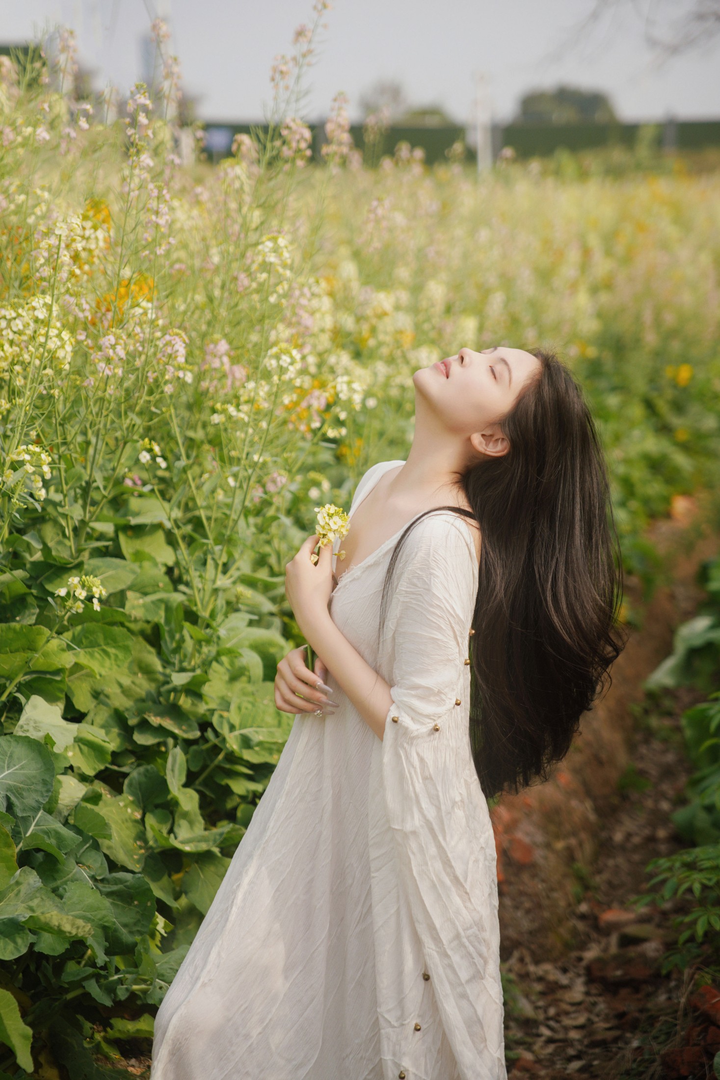 花海秘语,少女的绿野绮梦