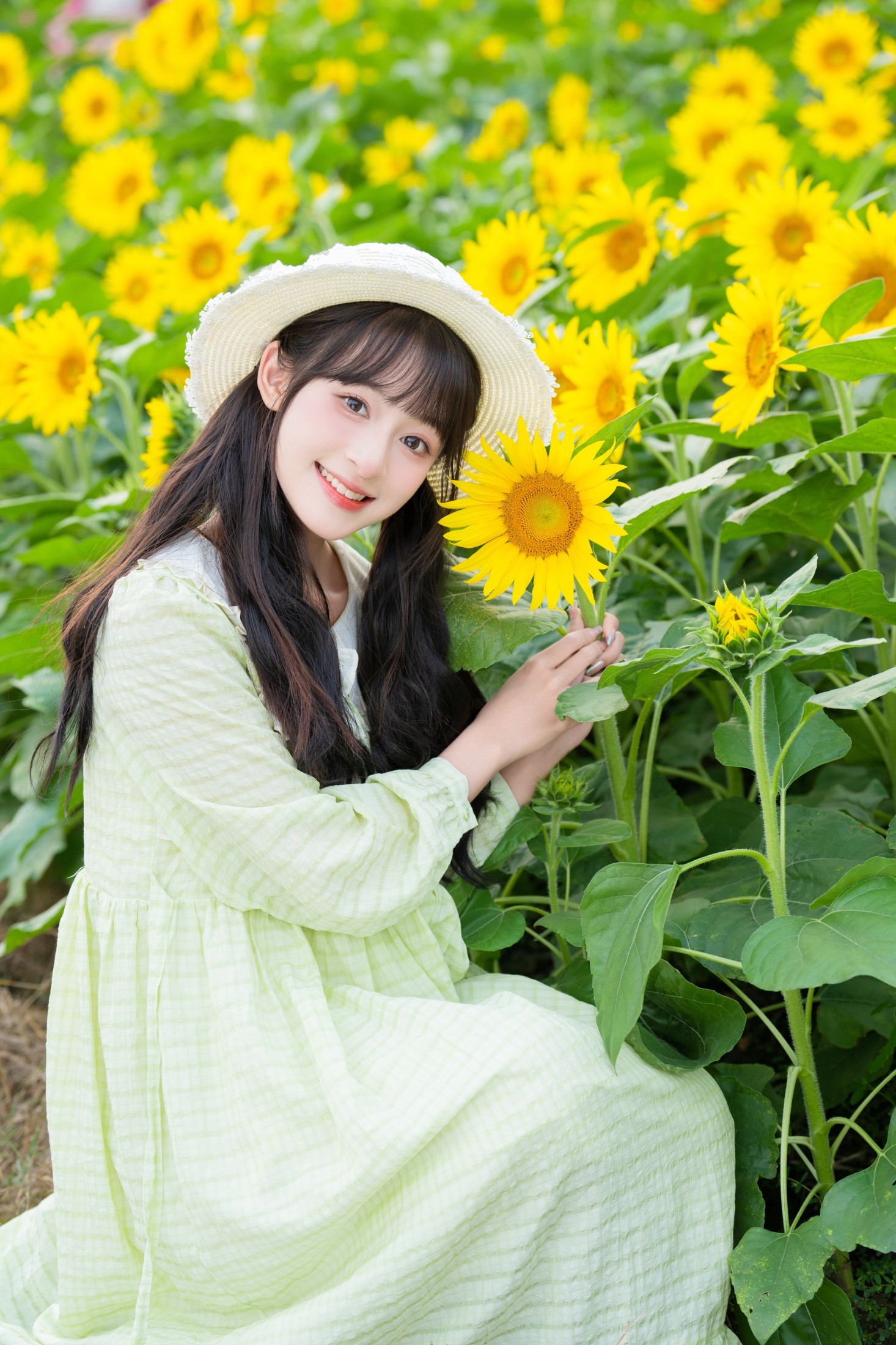 夏芋小年 – 《永远明媚》[20P]