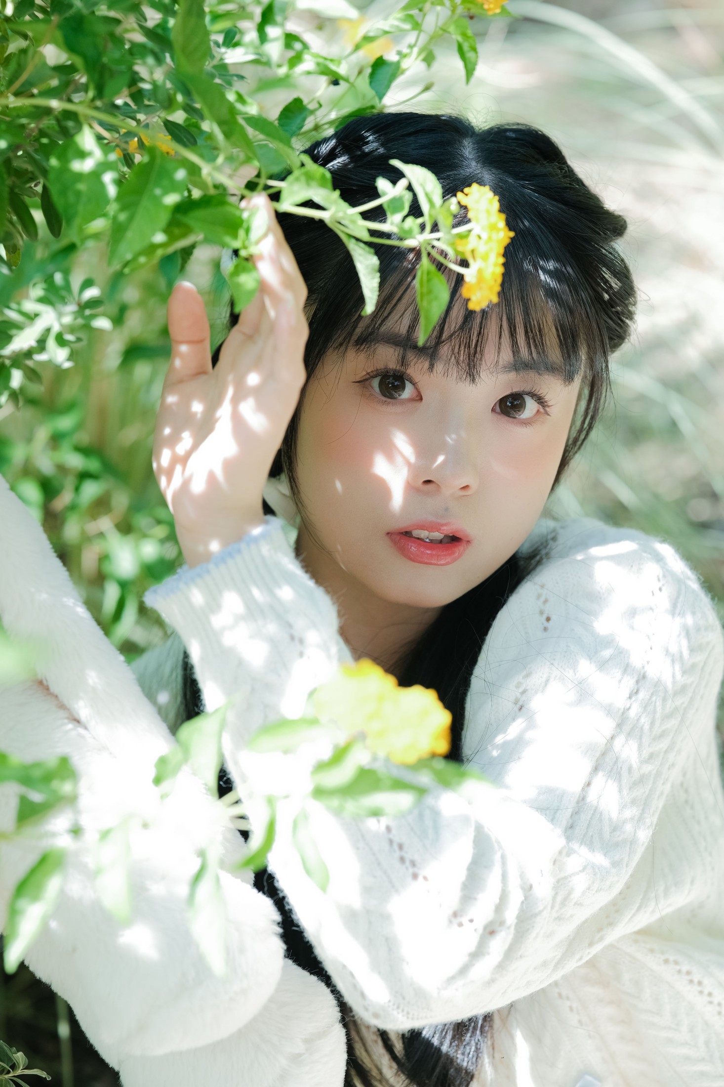一只暖暖 – 《春天的漩涡》[25P]