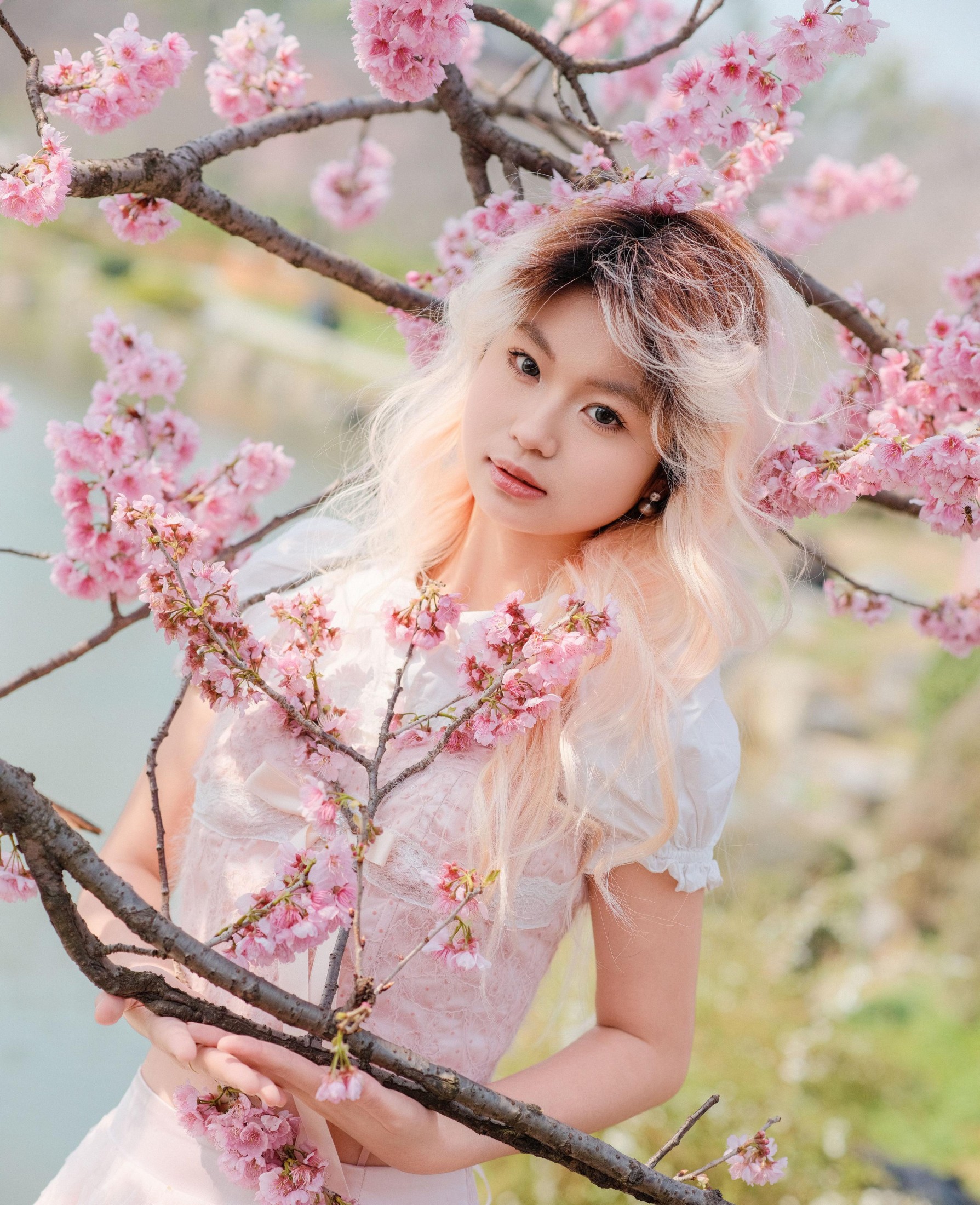 点点 – 《樱花树下》[16P]