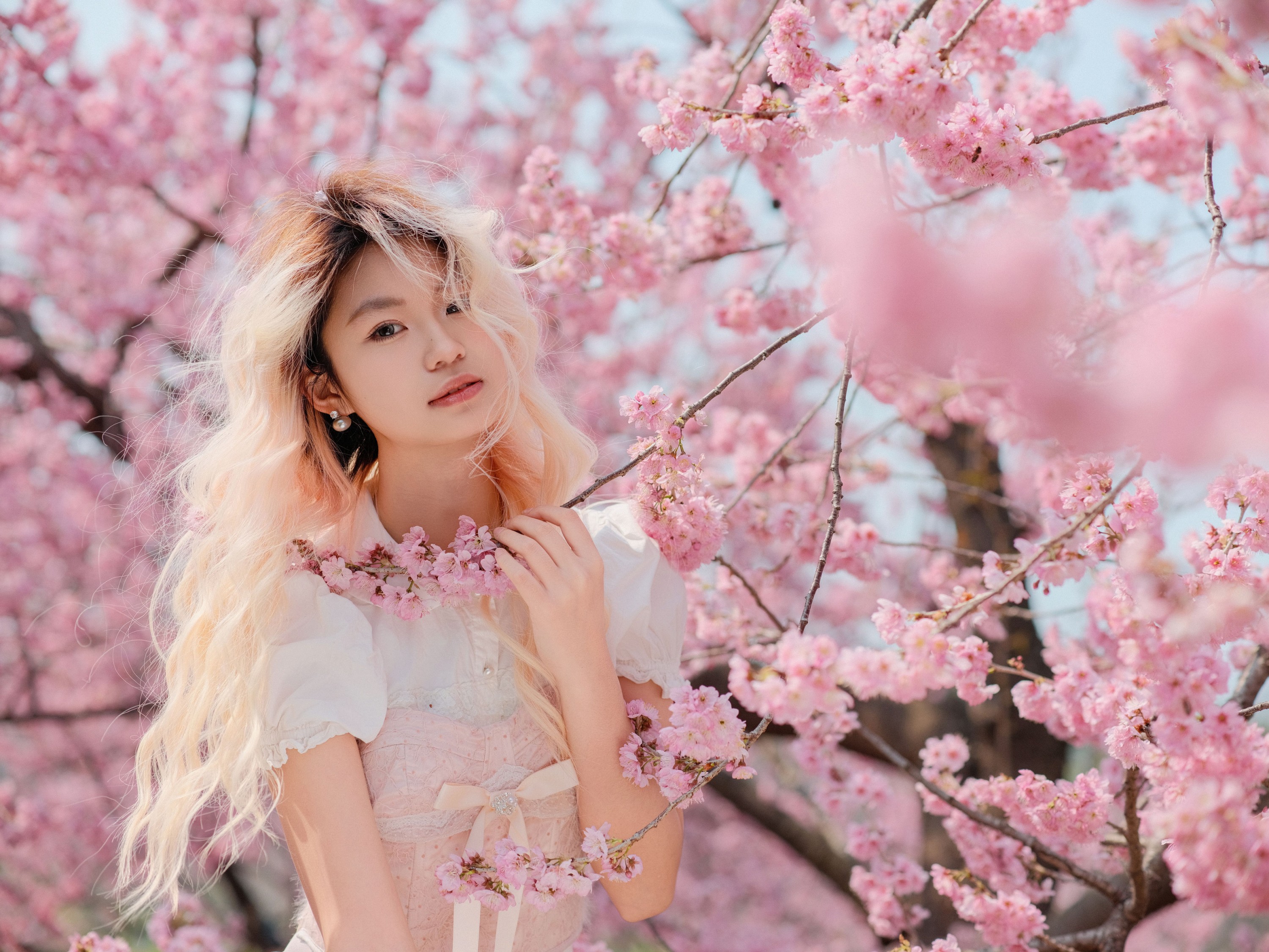 点点 – 《樱花树下》[16P]