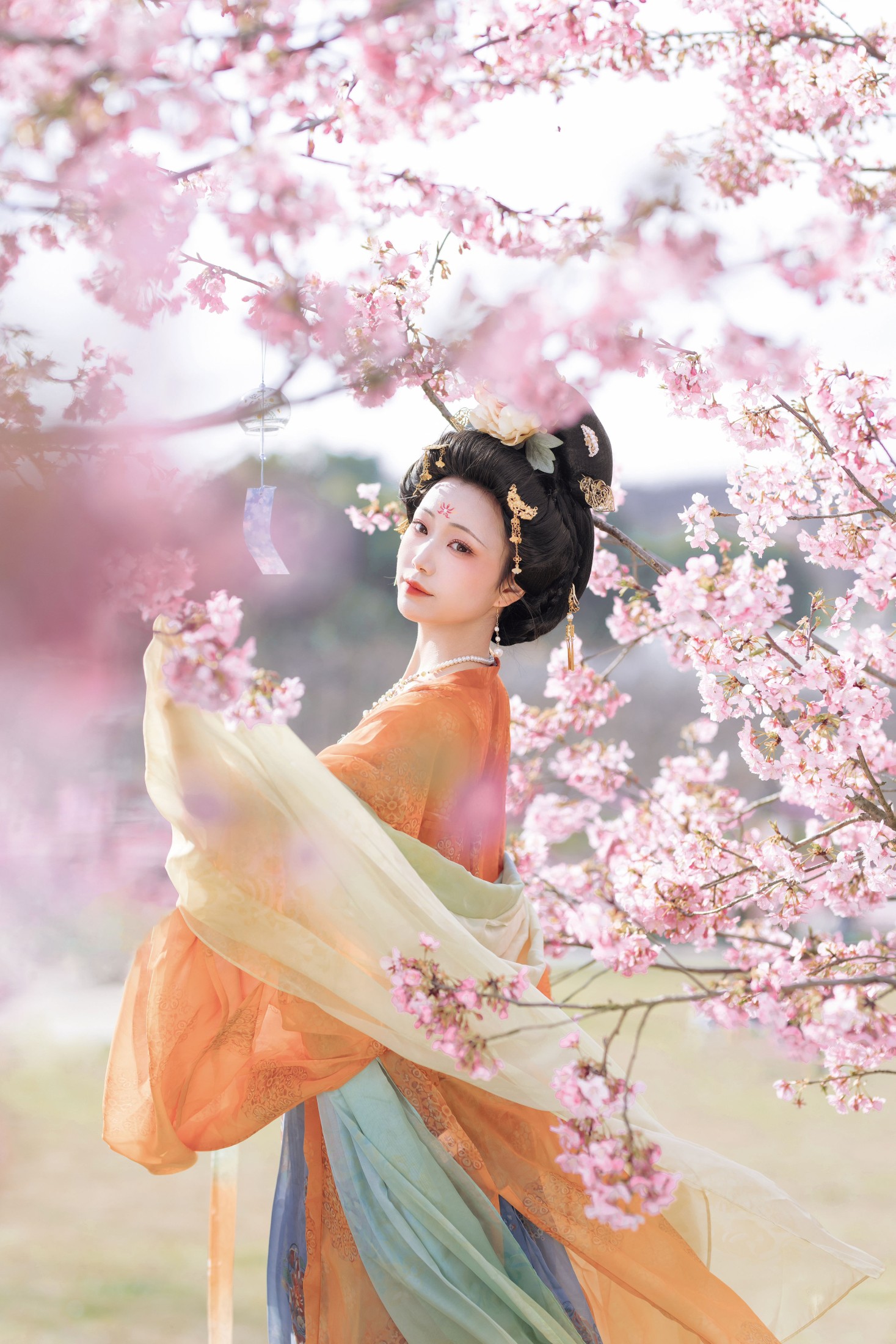 名花倾国两相欢