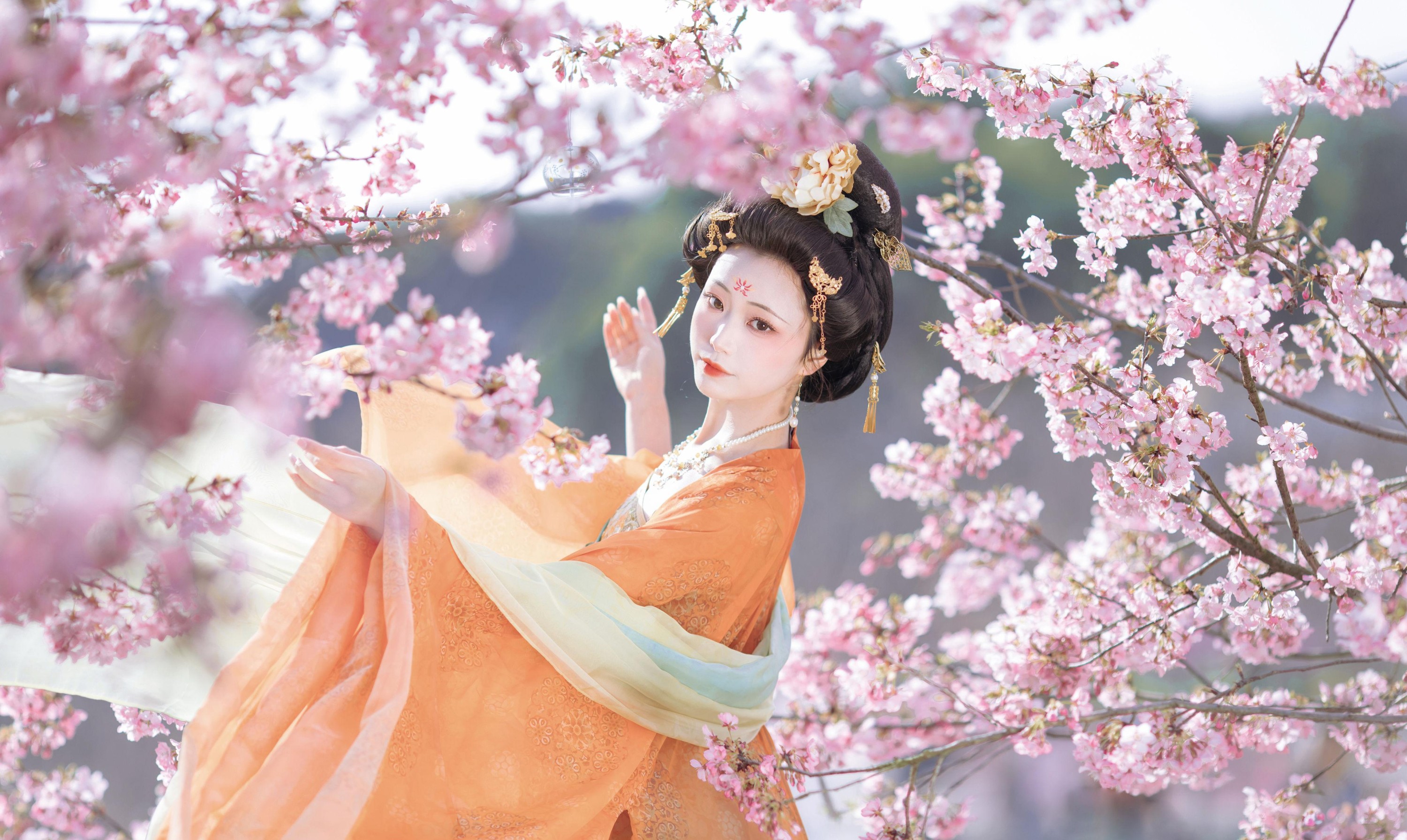 千玥 – 《名花倾国两相欢》[20P]