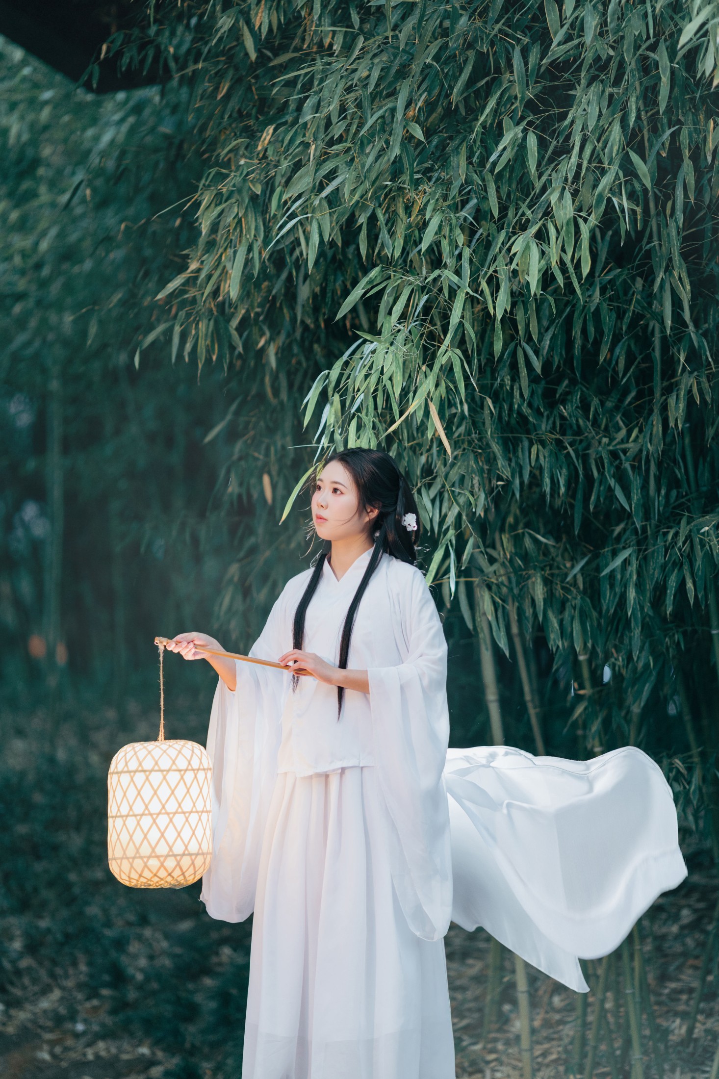 苏苏 – 《竹林夜影清冷风》[22P]