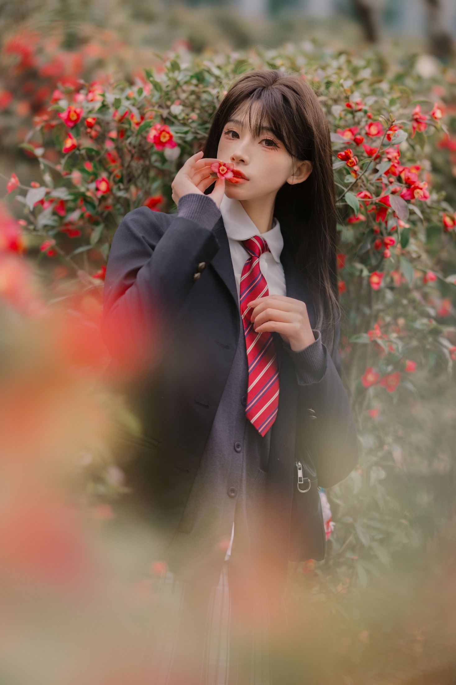 山茶花的秘密