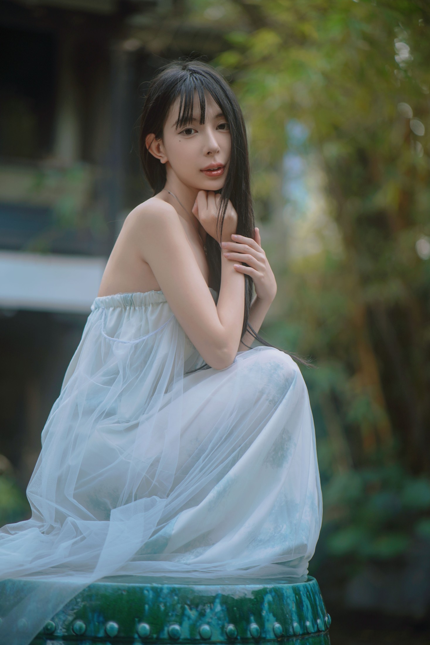 兰圃佳人,诗意风华