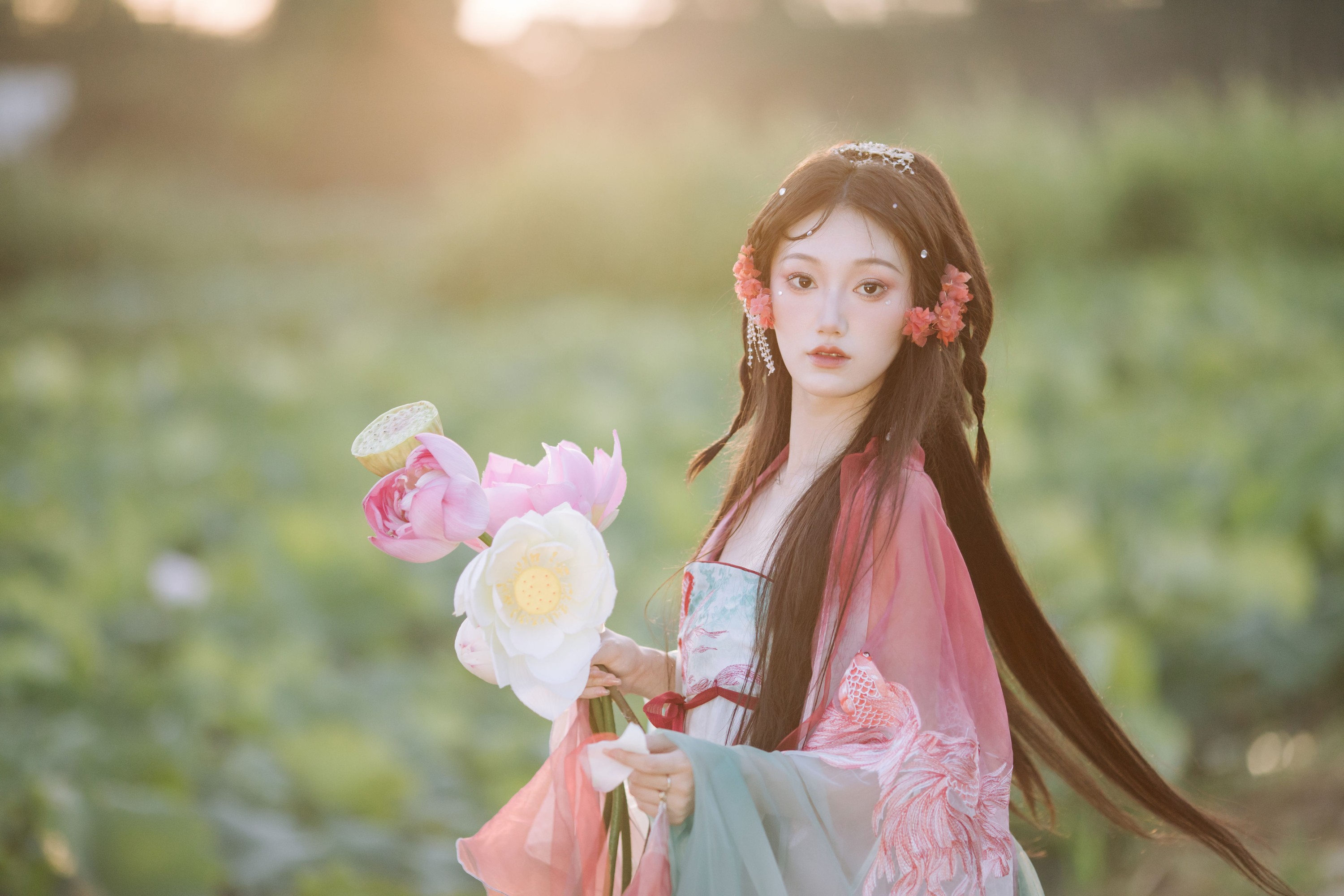 小锦鲤