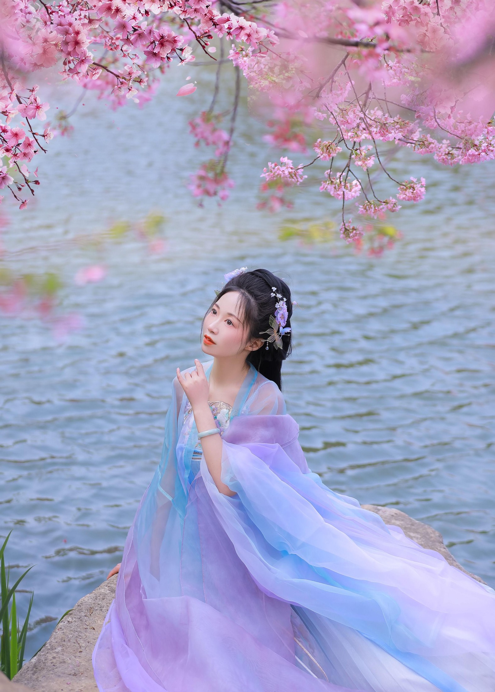 樱花