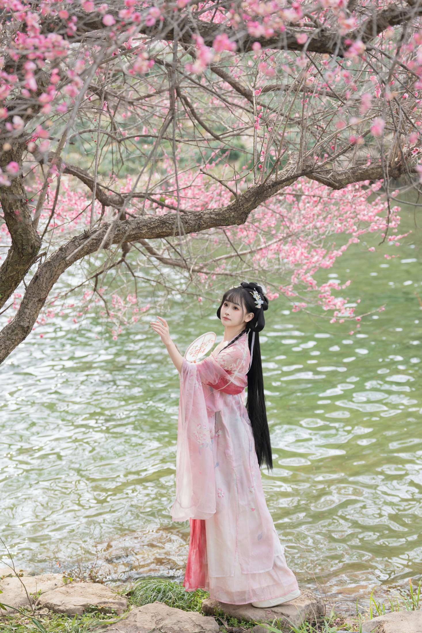 梅花盛开