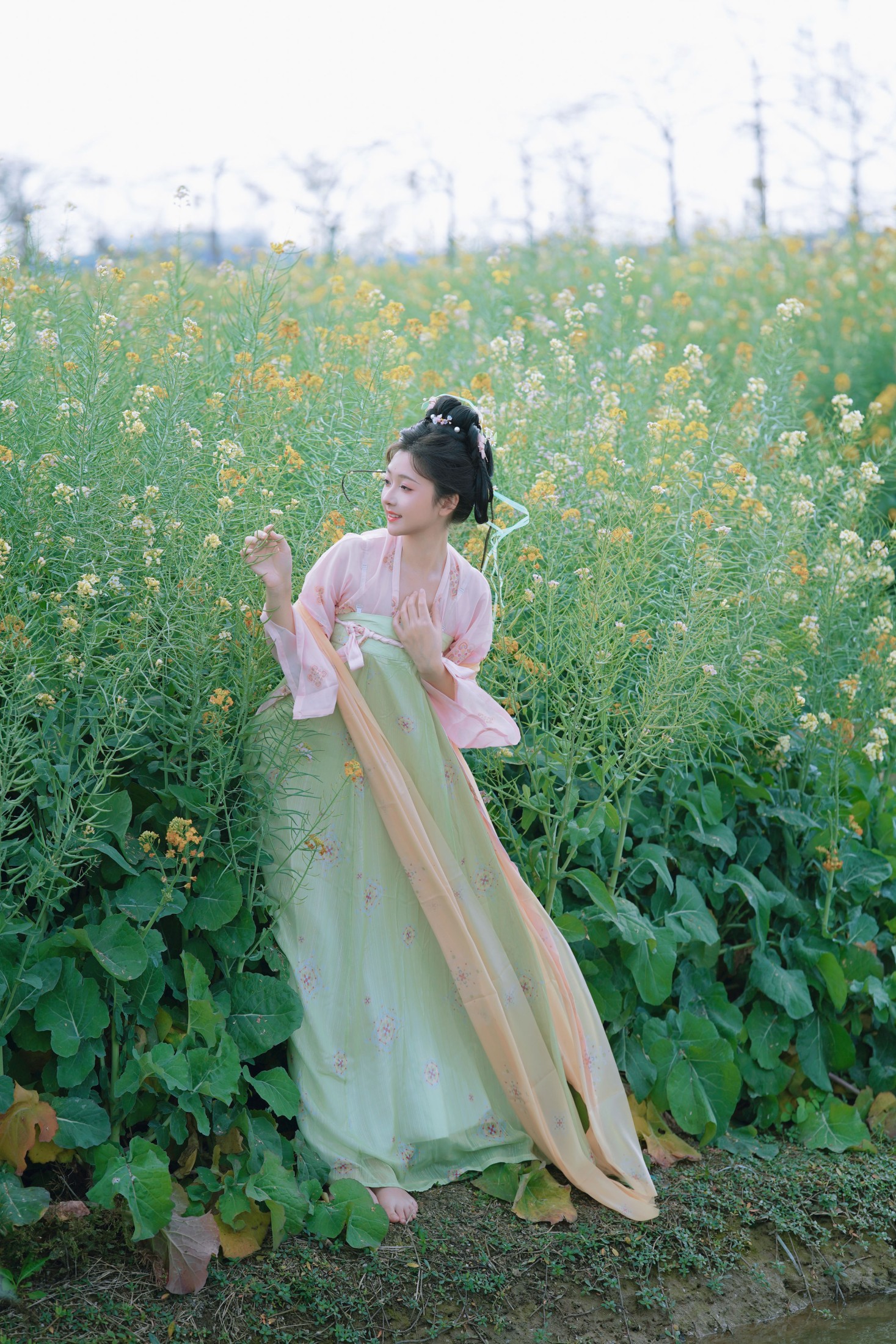 邂逅七彩花田里的仙女