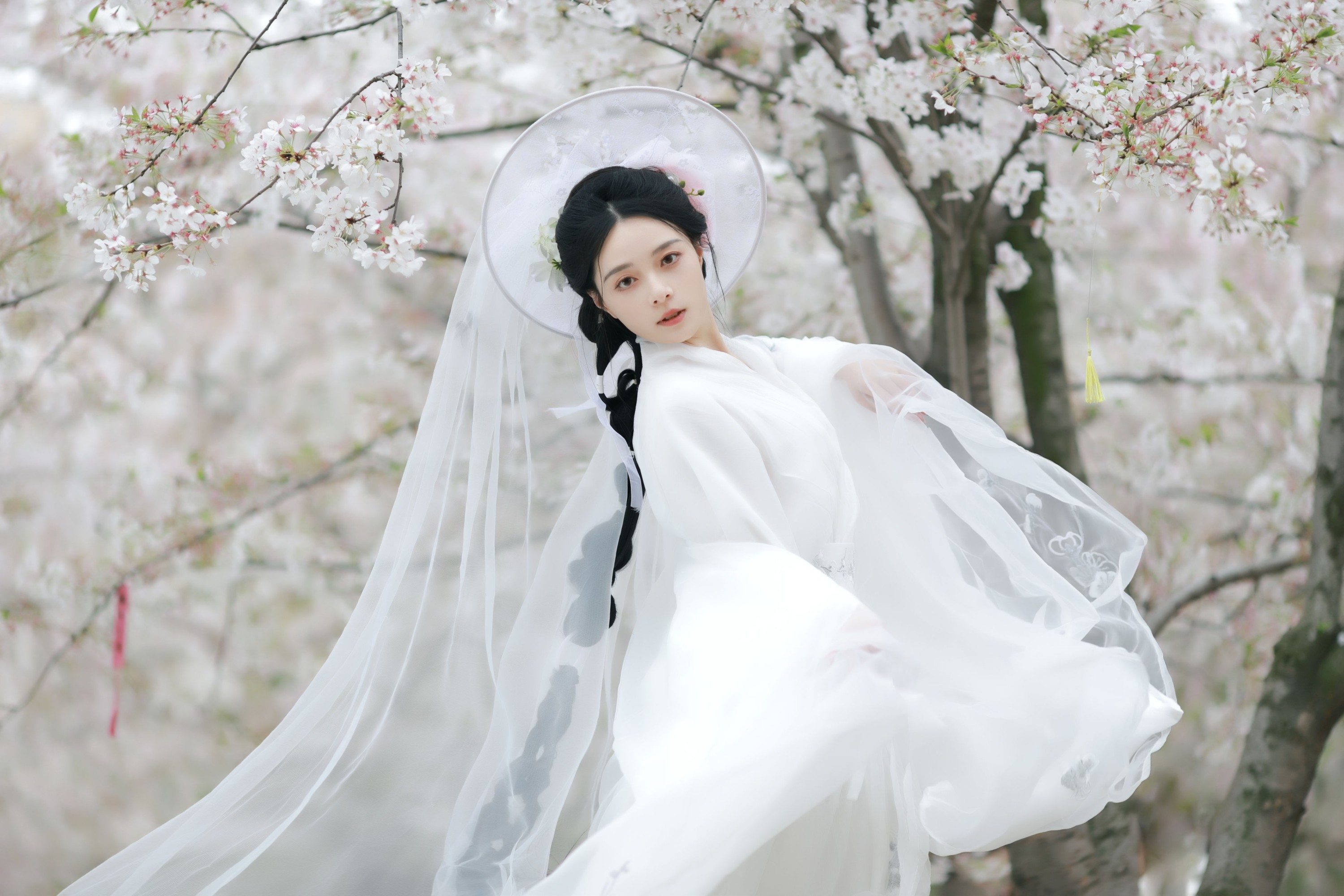 岁岁如意 – 《万物清明》[14P]