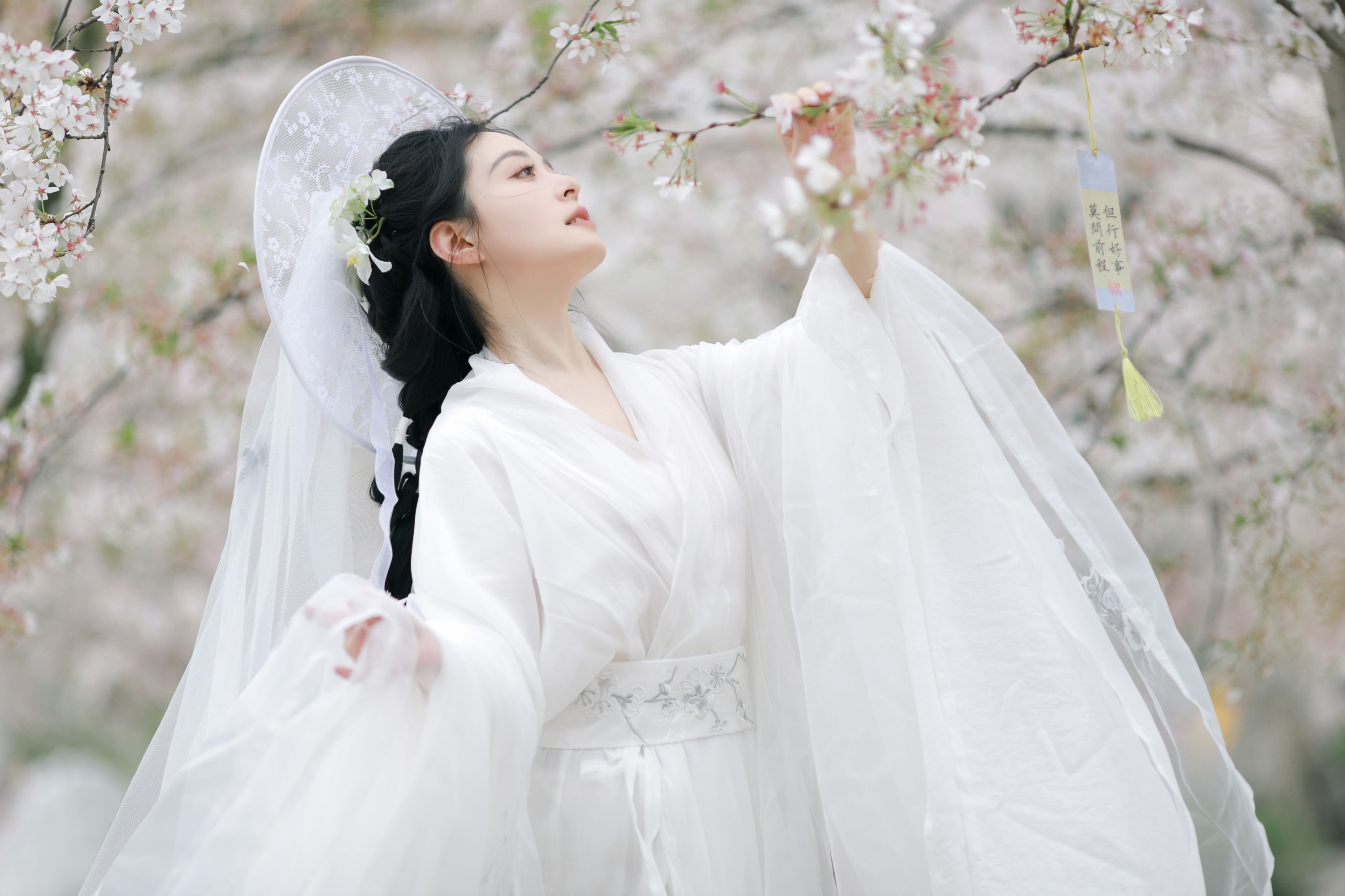 岁岁如意 – 《万物清明》[14P]
