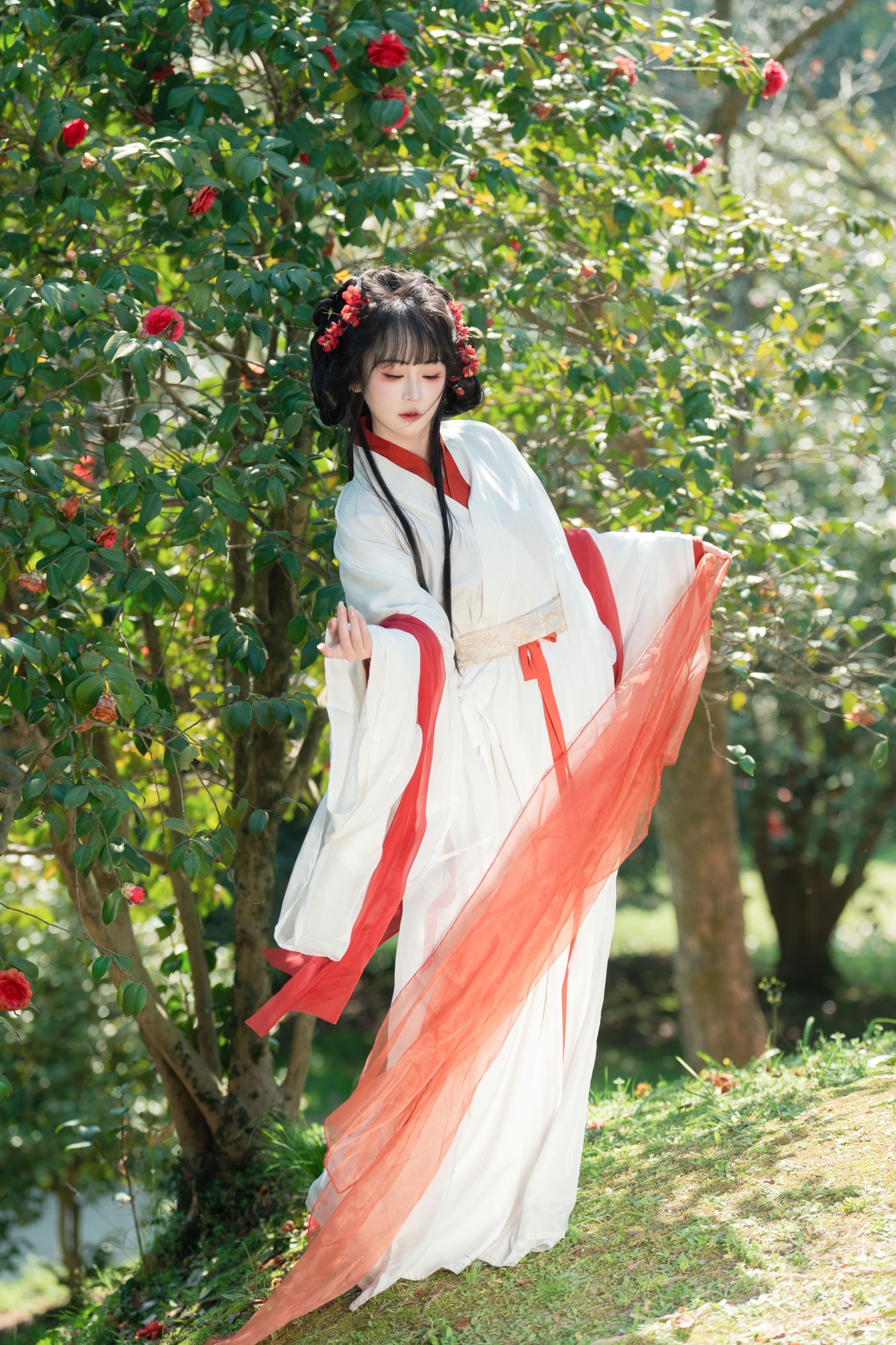 邂逅山茶花