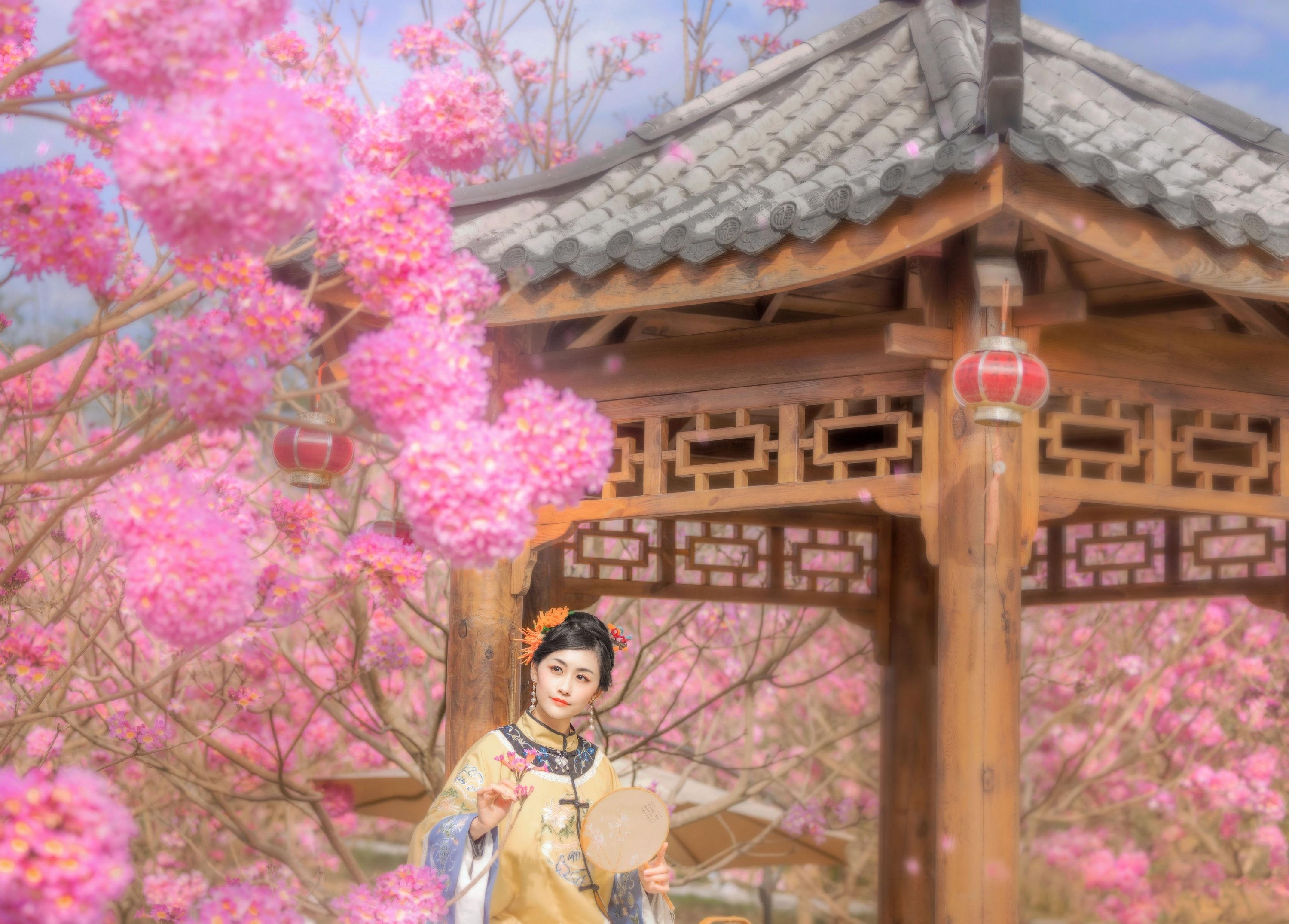糖糖 – 《风铃晚》[15P]