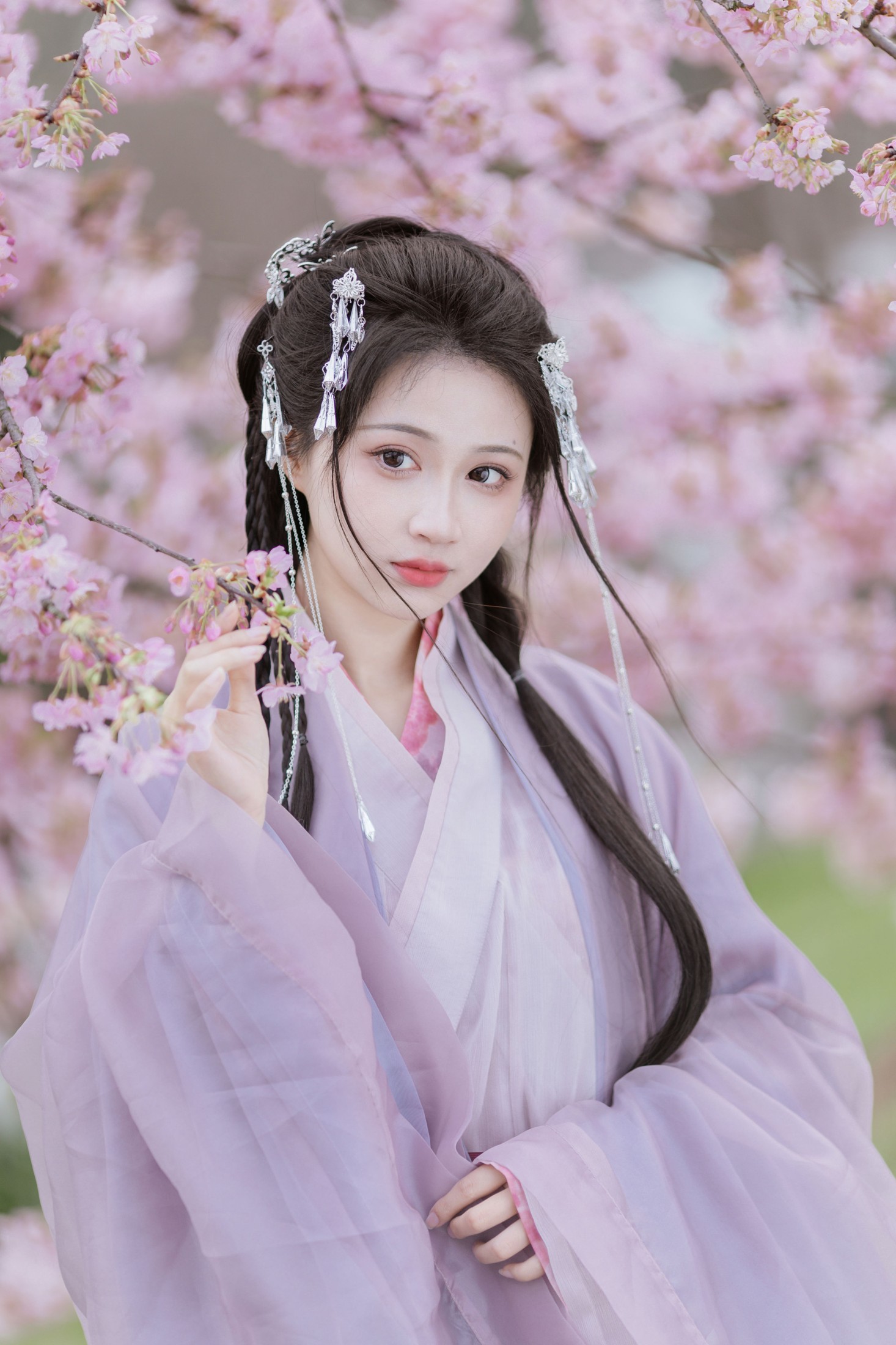 春风如画